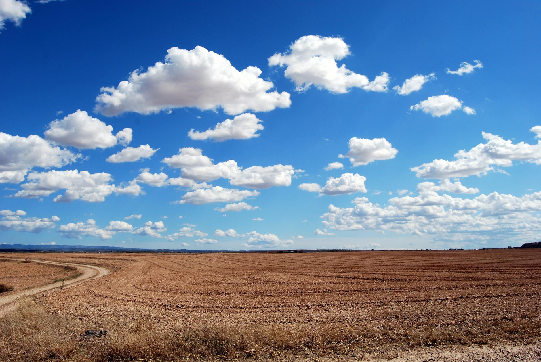 Expansive rural field with fluffy clouds and a clear blue sky. Expansive rural field with fluffy clouds and a clear blue sky.