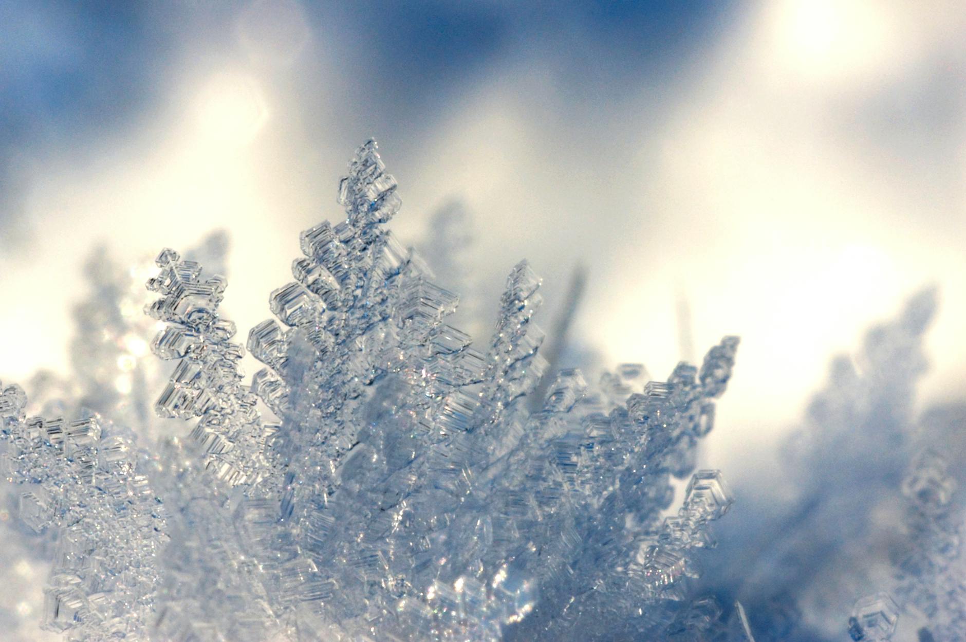 Detailed macro image of snowflakes showcasing natural ice crystal patterns in winter. Detailed macro image of snowflakes showcasing natural ice crystal patterns in winter.