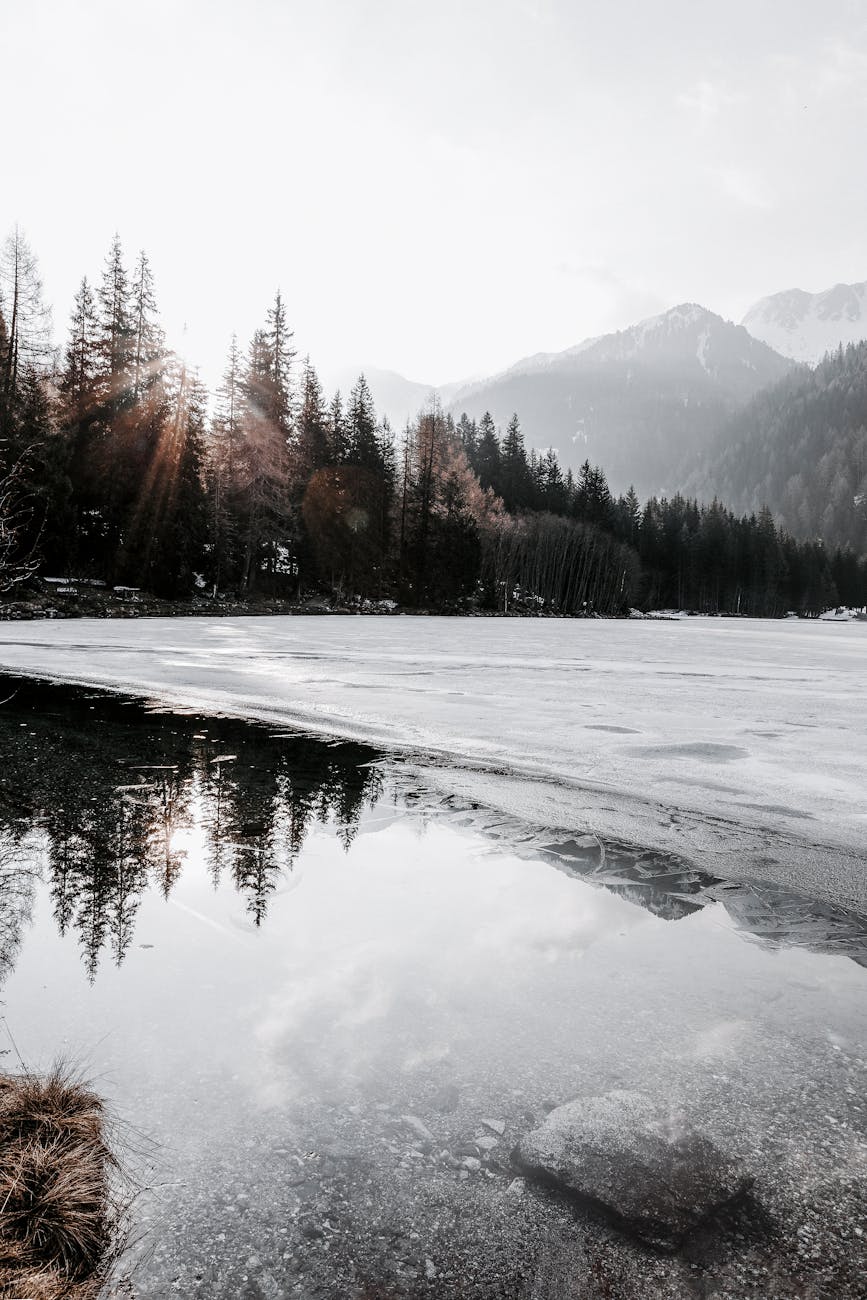 A serene frozen lake reflecting snow-capped mountains and trees, capturing winter tranquility.