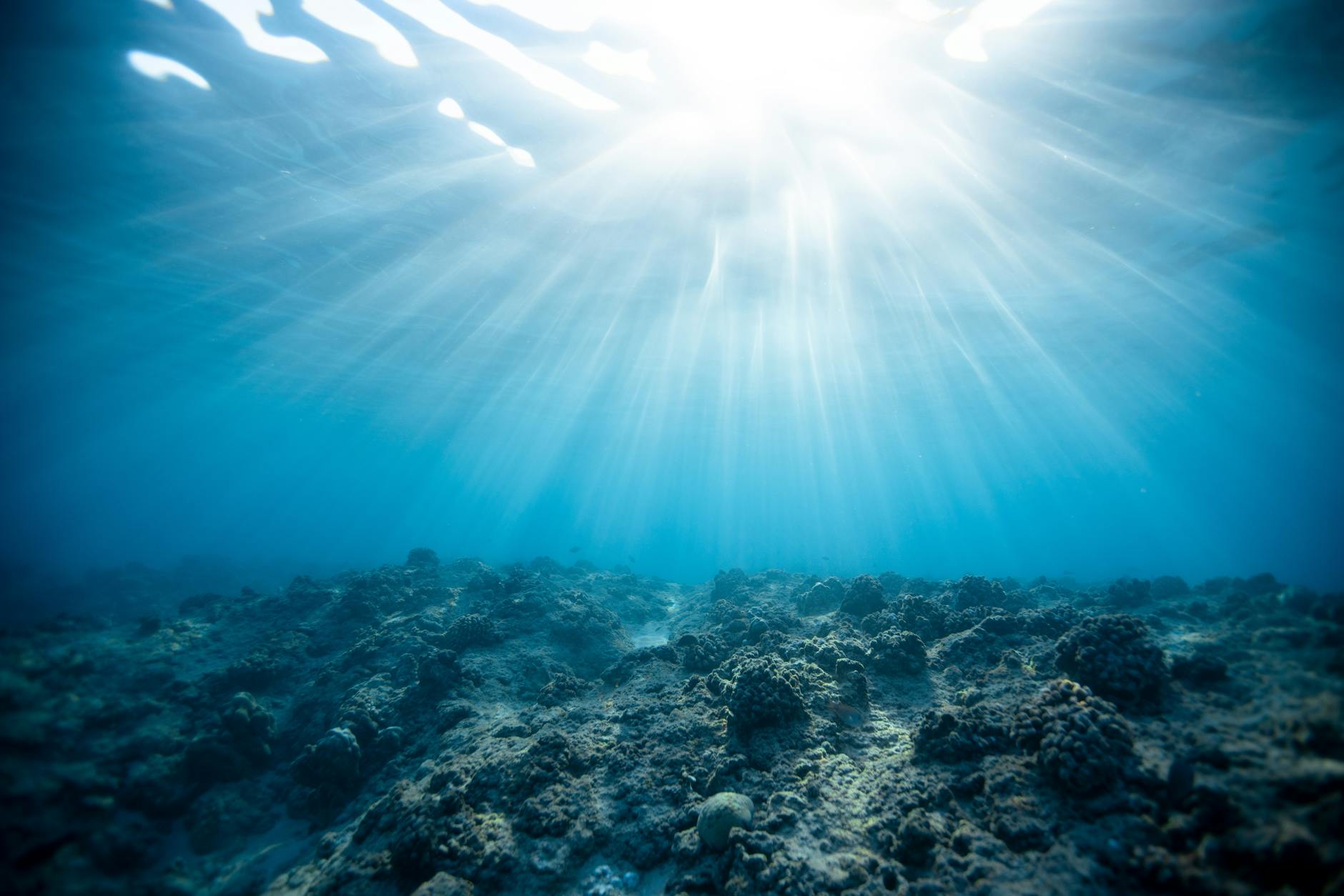 Underwater view of sunbeams illuminating a coral reef in Hawaii’s crystal-clear ocean. Underwater view of sunbeams illuminating a coral reef in Hawaii’s crystal-clear ocean.