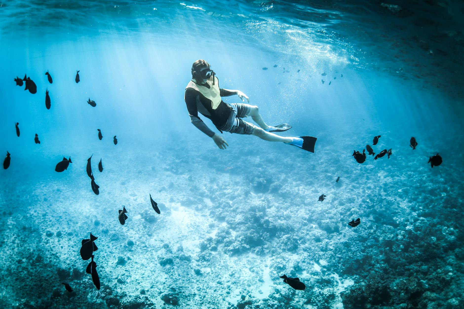Person snorkeling among vibrant marine life in a tropical, turquoise sea. Person snorkeling among vibrant marine life in a tropical, turquoise sea.