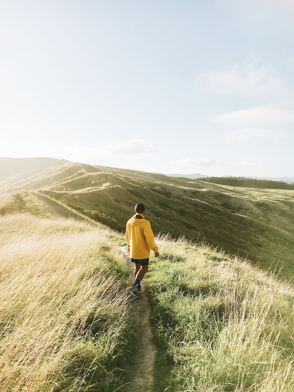 A man in a yellow jacket hikes along a grassy hill during a bright sunny day, capturing adventure and nature. A man in a yellow jacket hikes along a grassy hill during a bright sunny day, capturing adventure and nature.