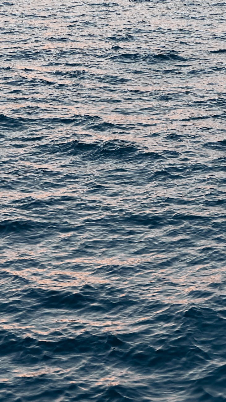 Tranquil ocean surface with gentle waves reflecting blue hues at sunset.