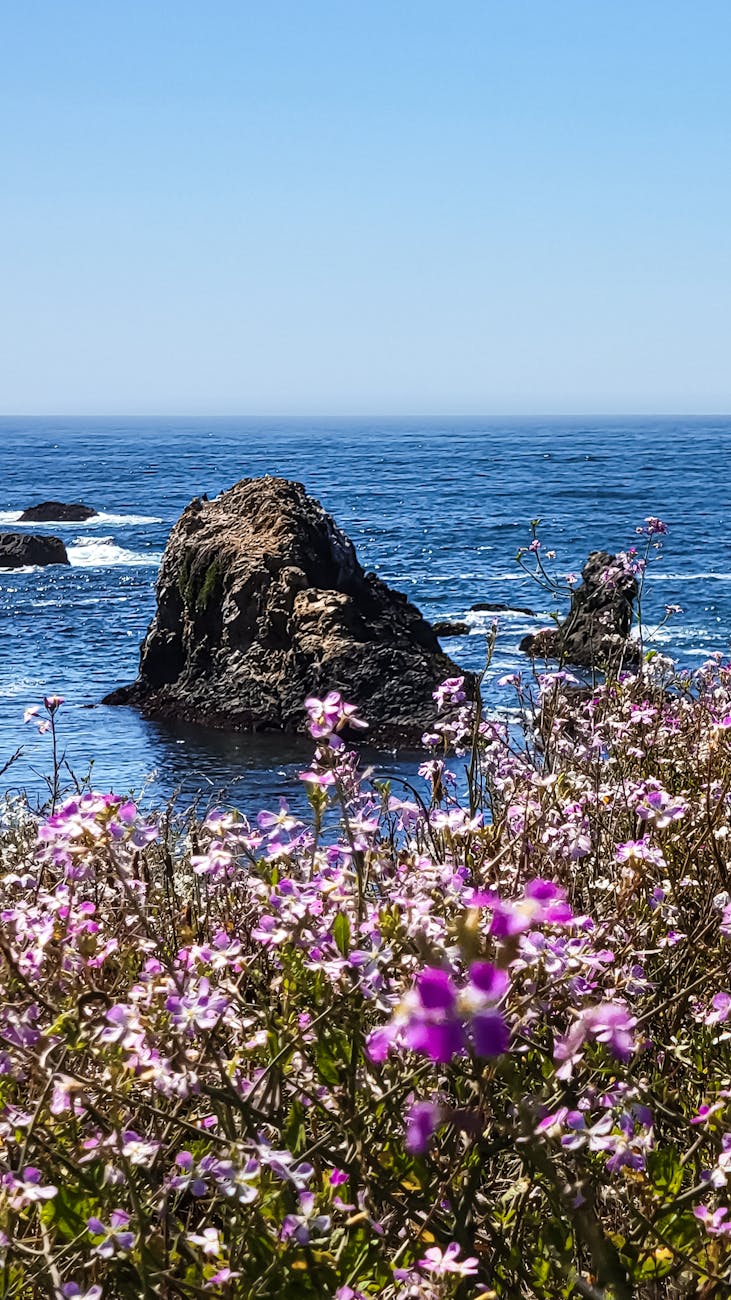 Vibrant wildflowers overlook a serene coastal rock formation under a clear summer sky. Vibrant wildflowers overlook a serene coastal rock formation under a clear summer sky.