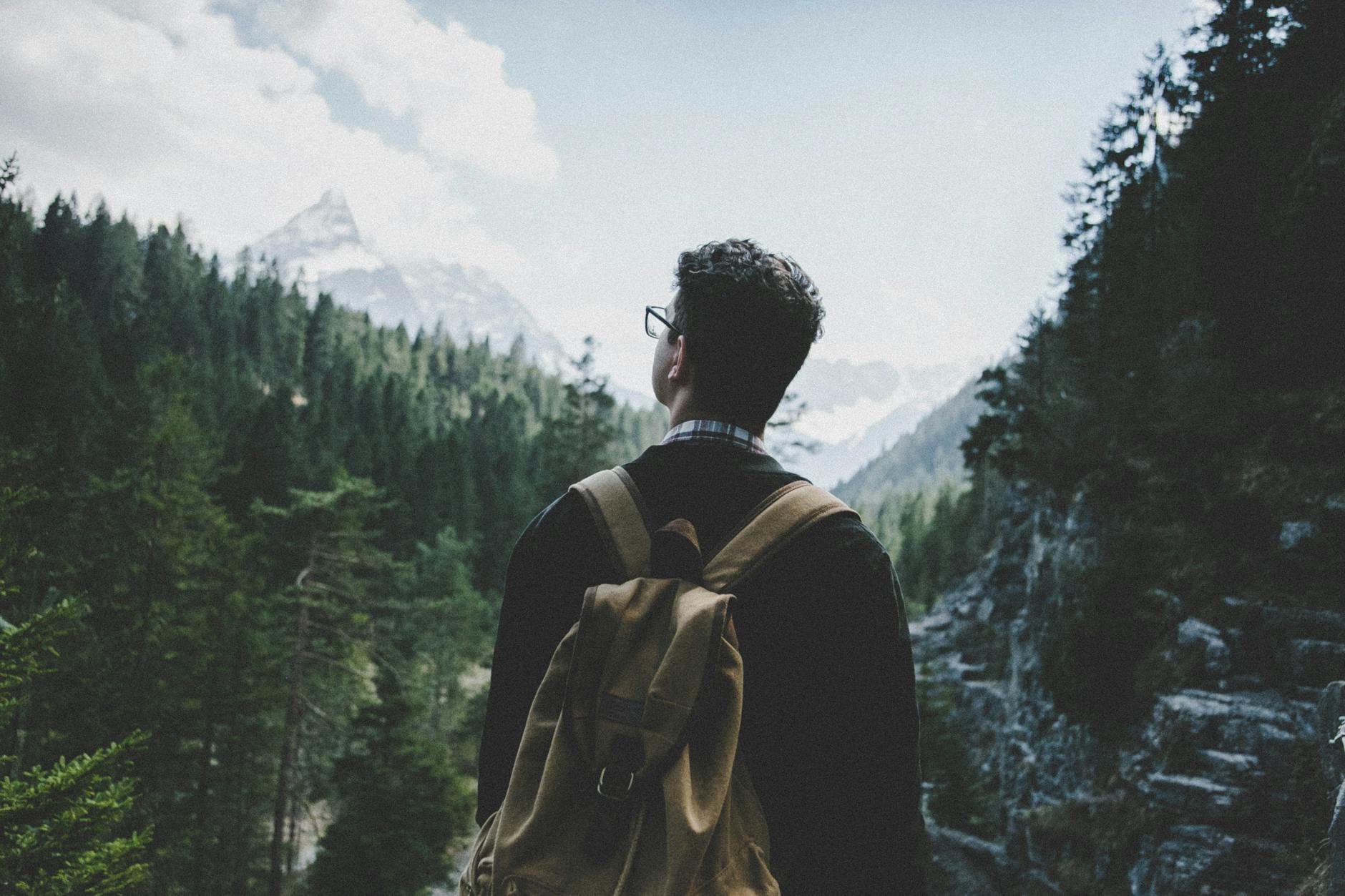 Back view of a man with a backpack hiking through a lush alpine forest in Tirol, Austria. Back view of a man with a backpack hiking through a lush alpine forest in Tirol, Austria.