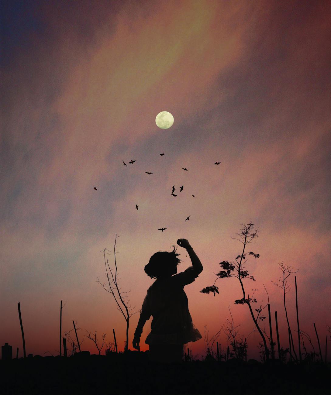 A captivating silhouette of a person at twilight with birds flocking against a colorful sky. A captivating silhouette of a person at twilight with birds flocking against a colorful sky.