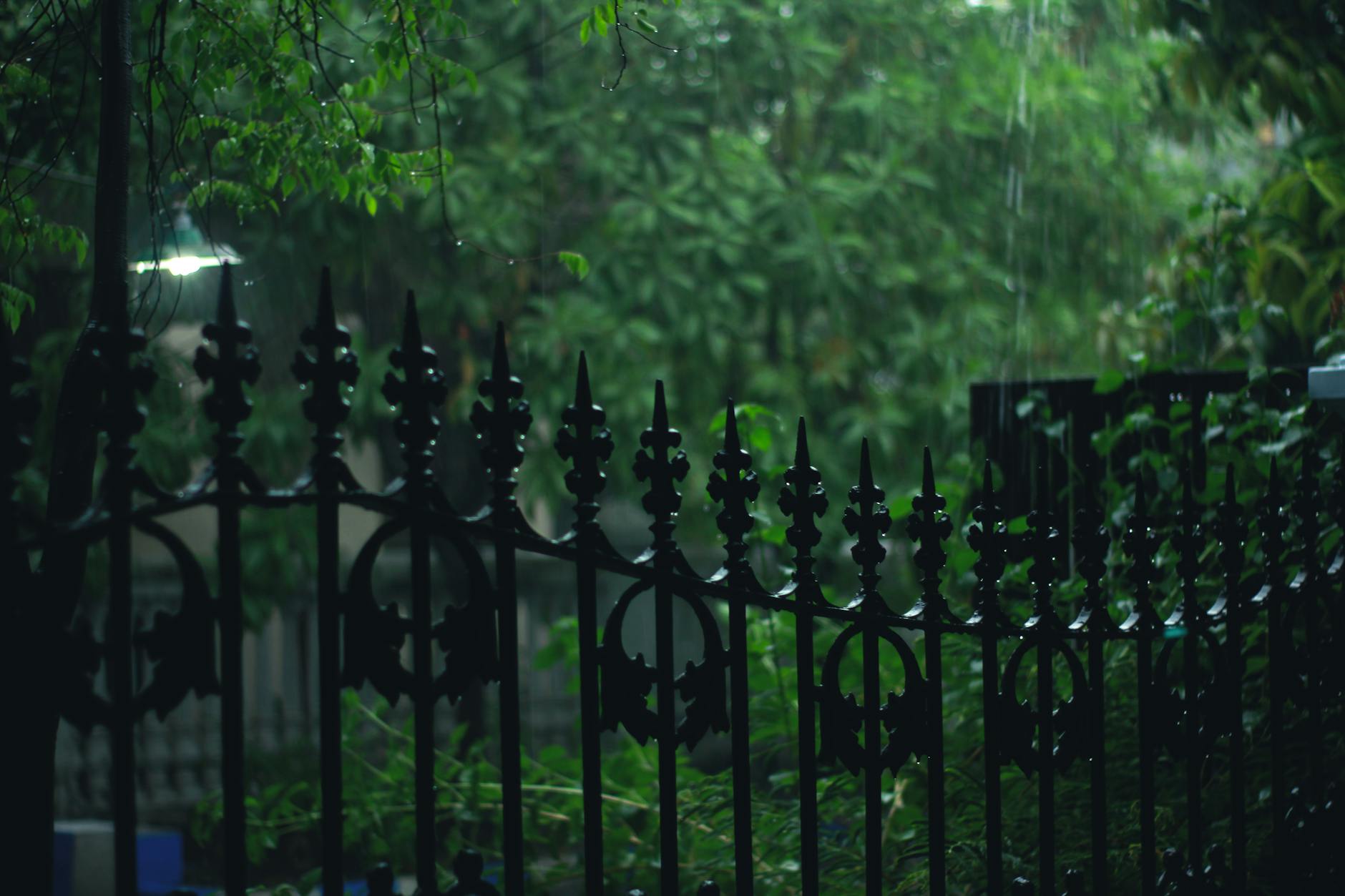 A scenic view of a rain-soaked garden with a decorative metal fence and lush greenery, captured on a moody evening. A scenic view of a rain-soaked garden with a decorative metal fence and lush greenery, captured on a moody evening.