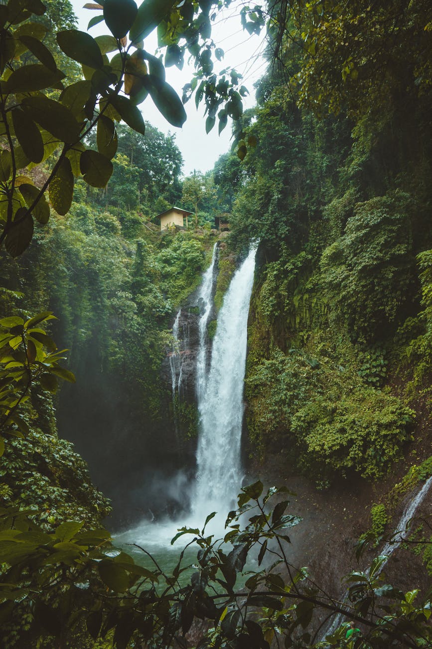Stunning waterfall in a lush tropical rainforest in Sukasada, Bali. Perfect for nature lovers. Stunning waterfall in a lush tropical rainforest in Sukasada, Bali. Perfect for nature lovers.