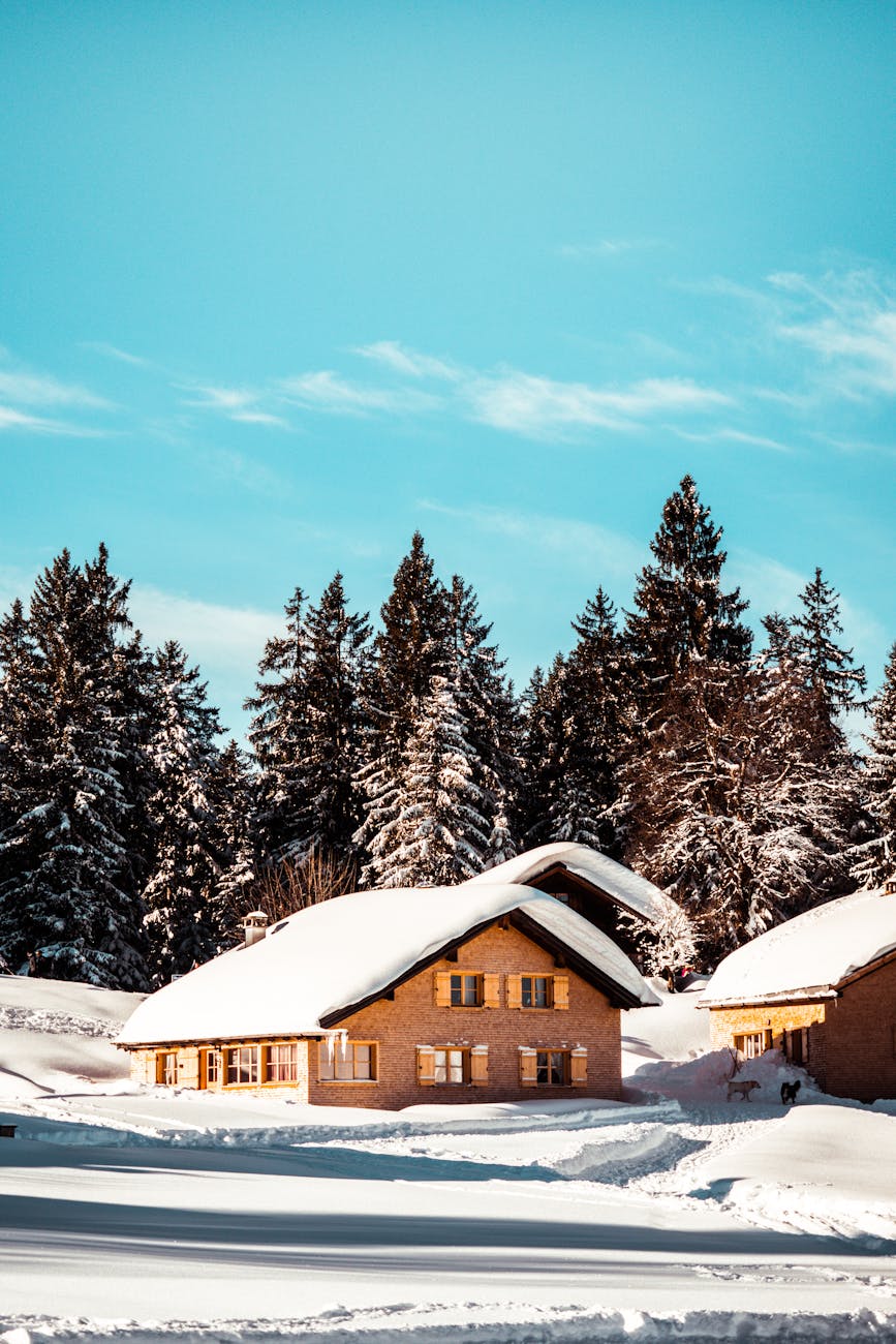 A scenic winter landscape with snow-covered chalets nestled among pine trees under a blue sky.