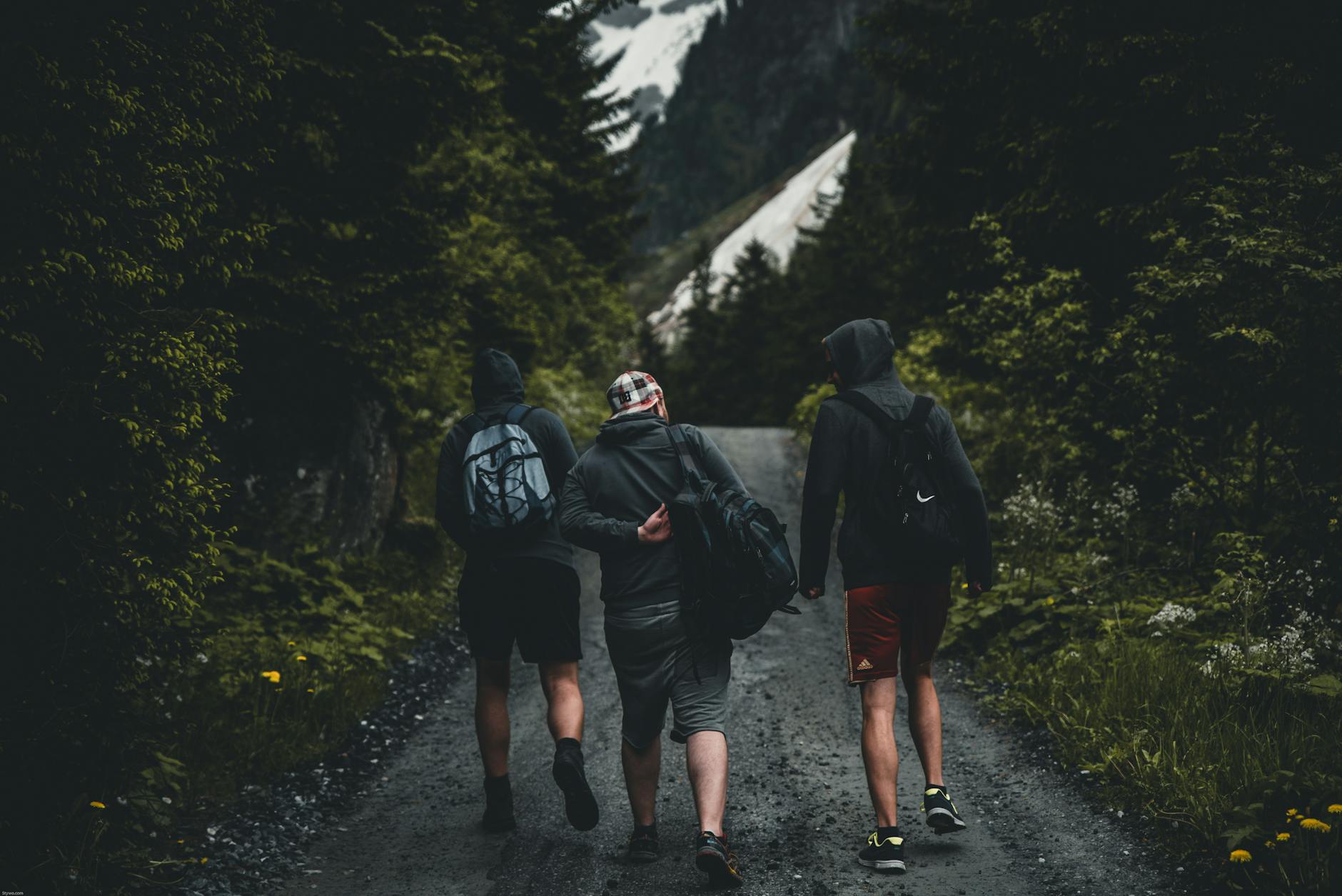 Three friends walking on a mountain trail in Kitzbühel, Tirol, Austria, amidst lush greenery. Three friends walking on a mountain trail in Kitzbühel, Tirol, Austria, amidst lush greenery.