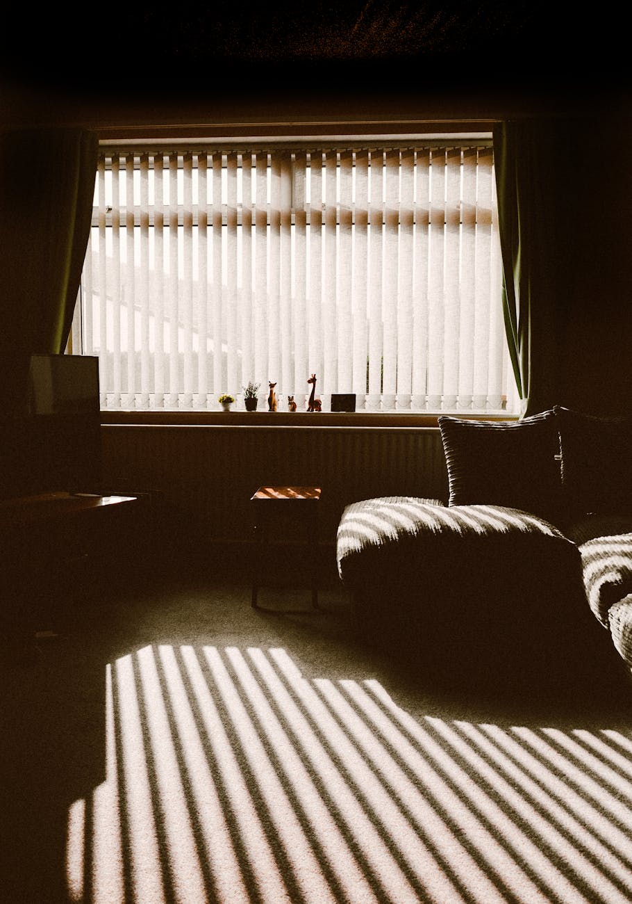 Warm and inviting living room featuring modern furniture and dramatic window light patterns.