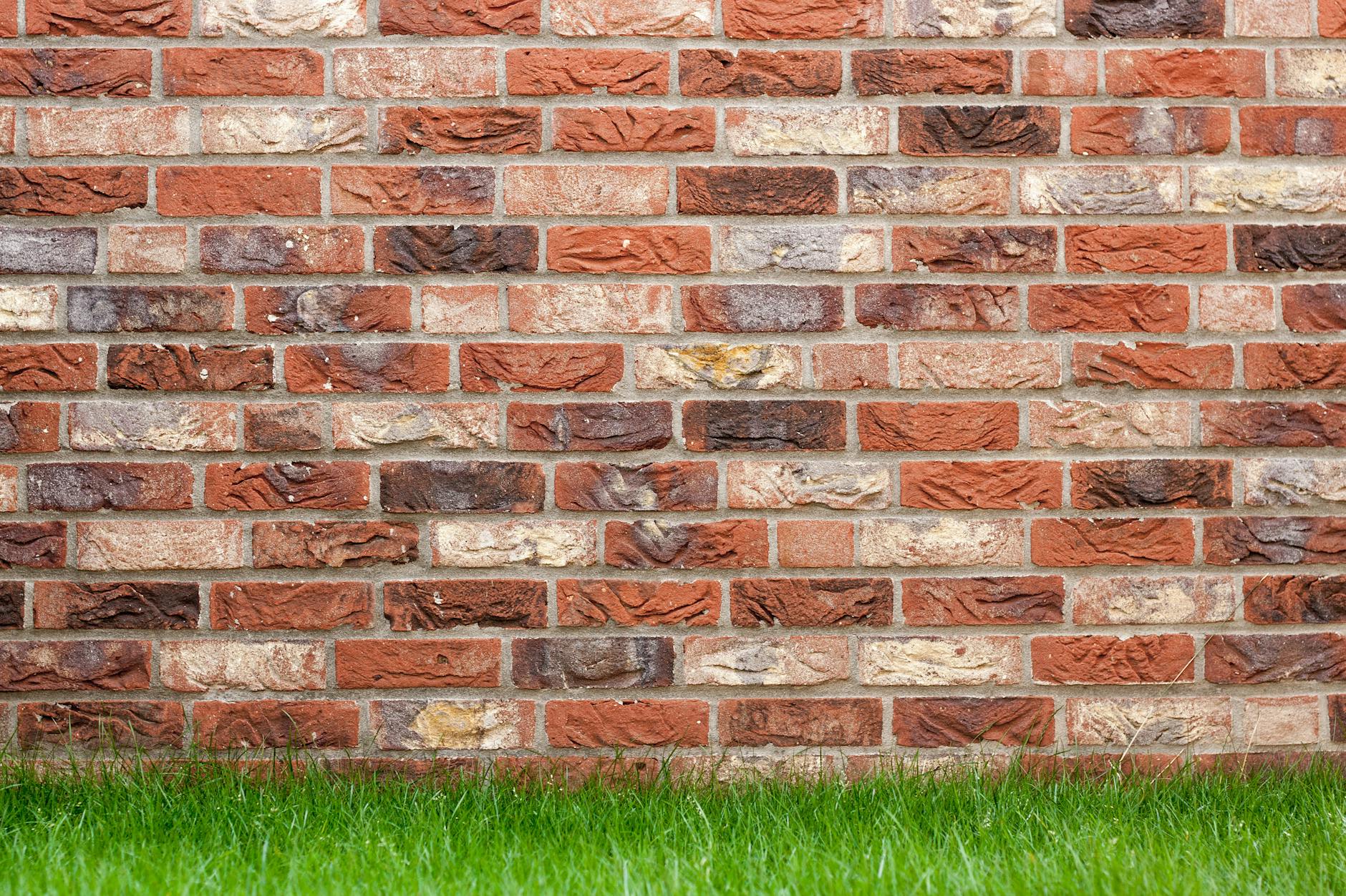 A textured red brick wall with fresh green grass at the base, ideal for backgrounds. A textured red brick wall with fresh green grass at the base, ideal for backgrounds.