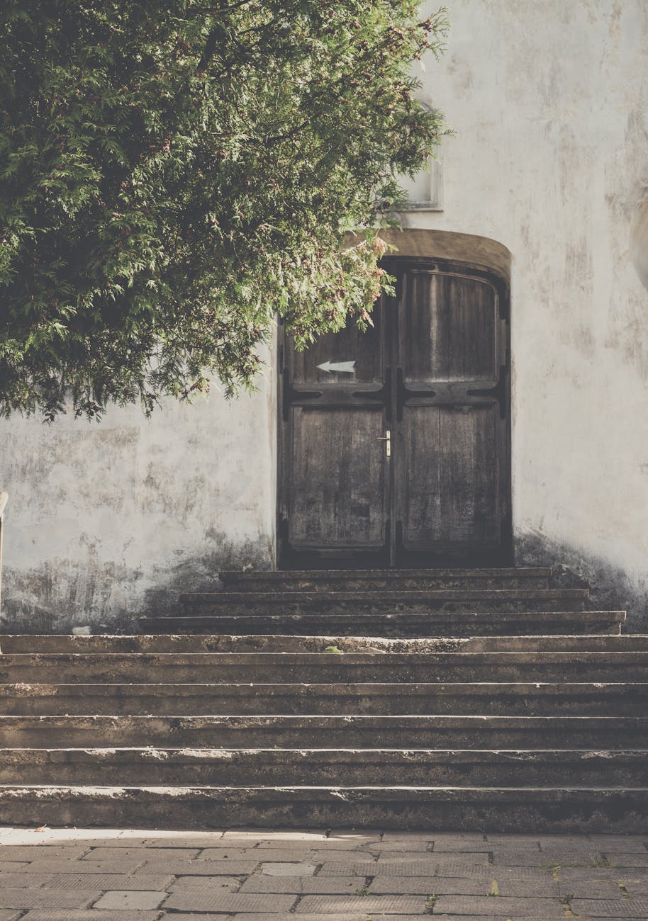 Weathered wooden doorway framed by stone steps and a lush tree, exuding rustic charm. Weathered wooden doorway framed by stone steps and a lush tree, exuding rustic charm.