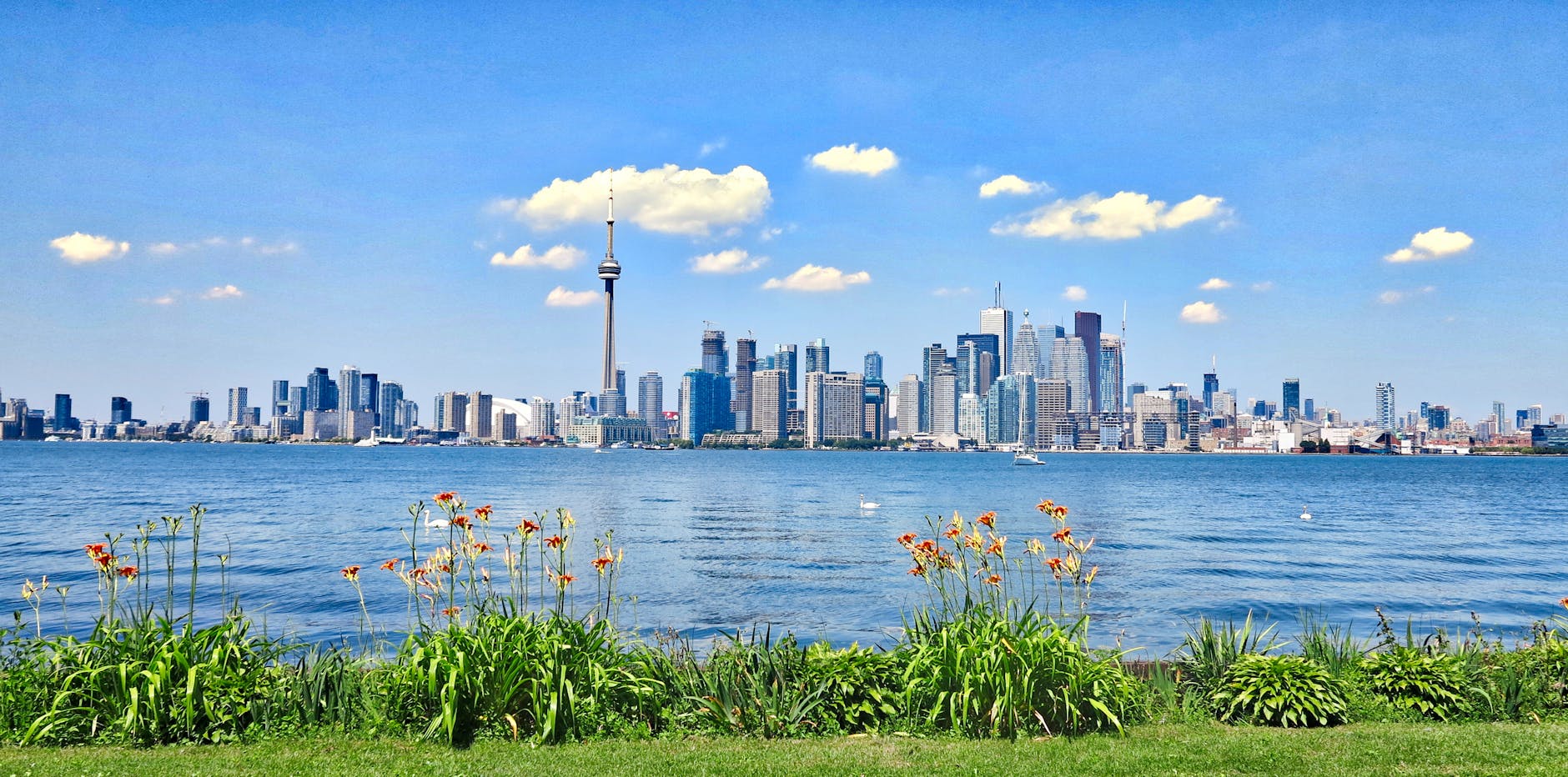 Scenic view of Toronto skyline with CN Tower against a clear blue sky, seen from across the waterfront.