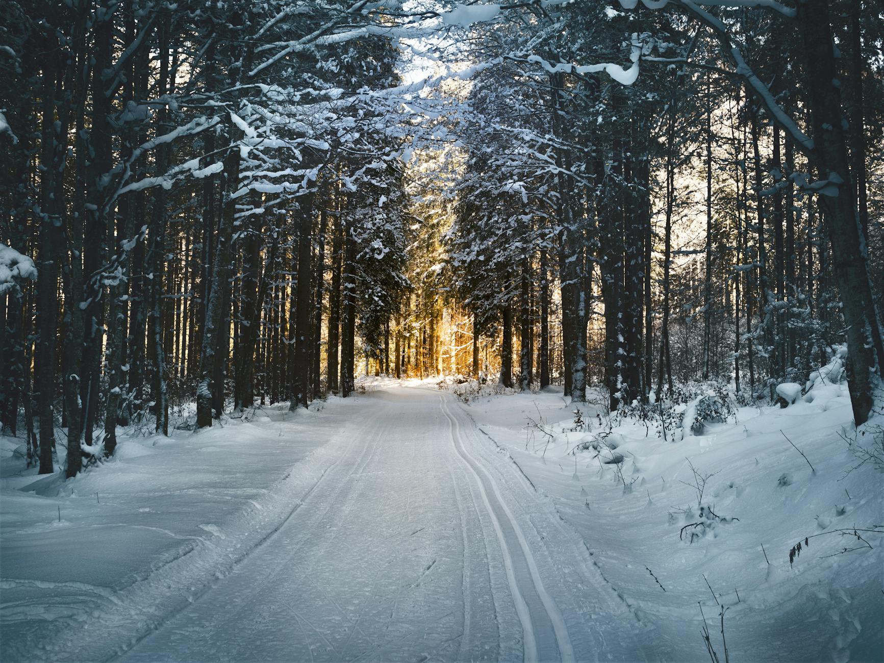 Stunning snowy path through a winter forest in Ebensee, Austria, with sunlight filtering through trees. Stunning snowy path through a winter forest in Ebensee, Austria, with sunlight filtering through trees.