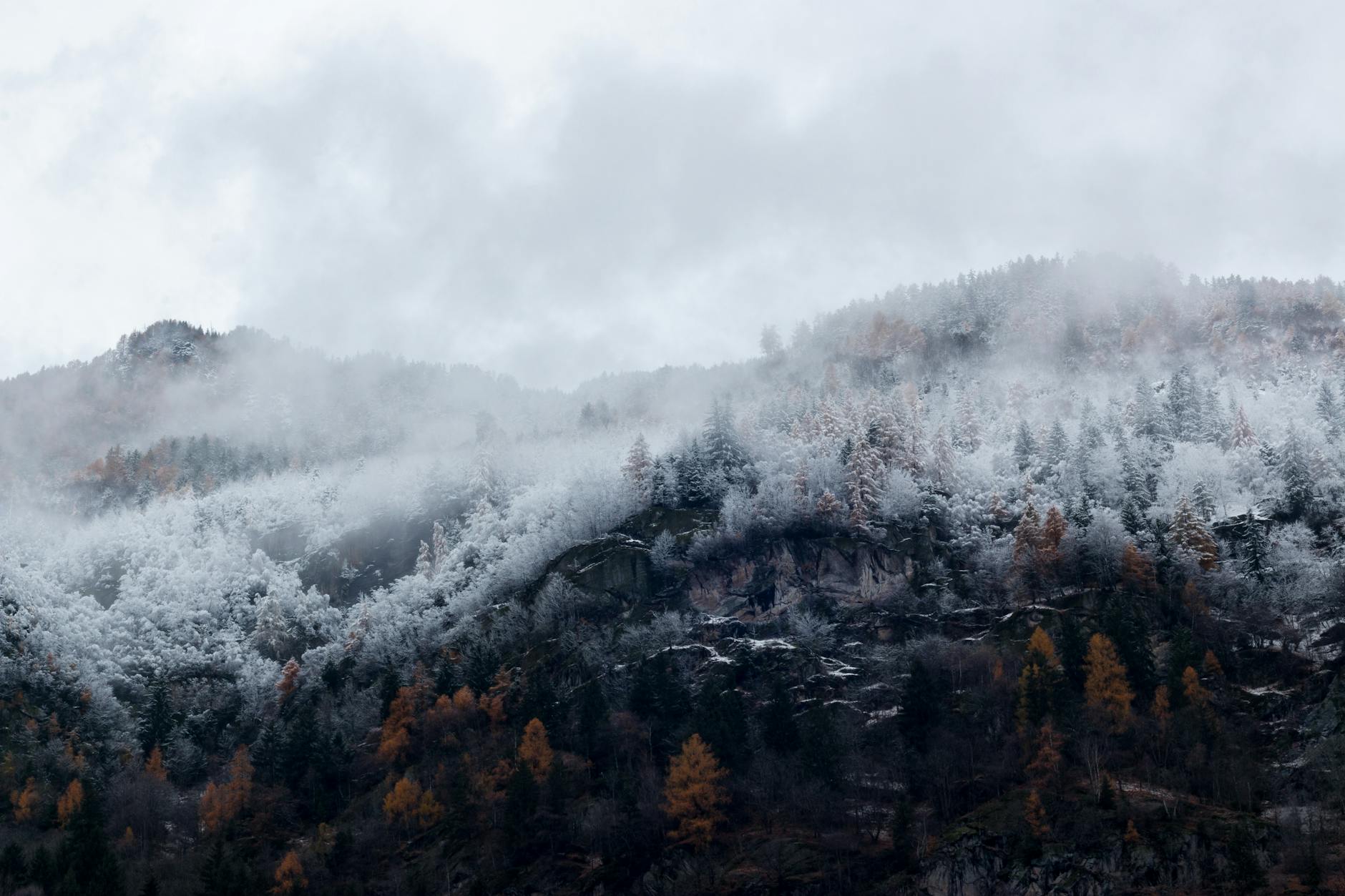 A scenic view of a foggy mountain range with snow-covered trees during winter, illustrating natural beauty. A scenic view of a foggy mountain range with snow-covered trees during winter, illustrating natural beauty.