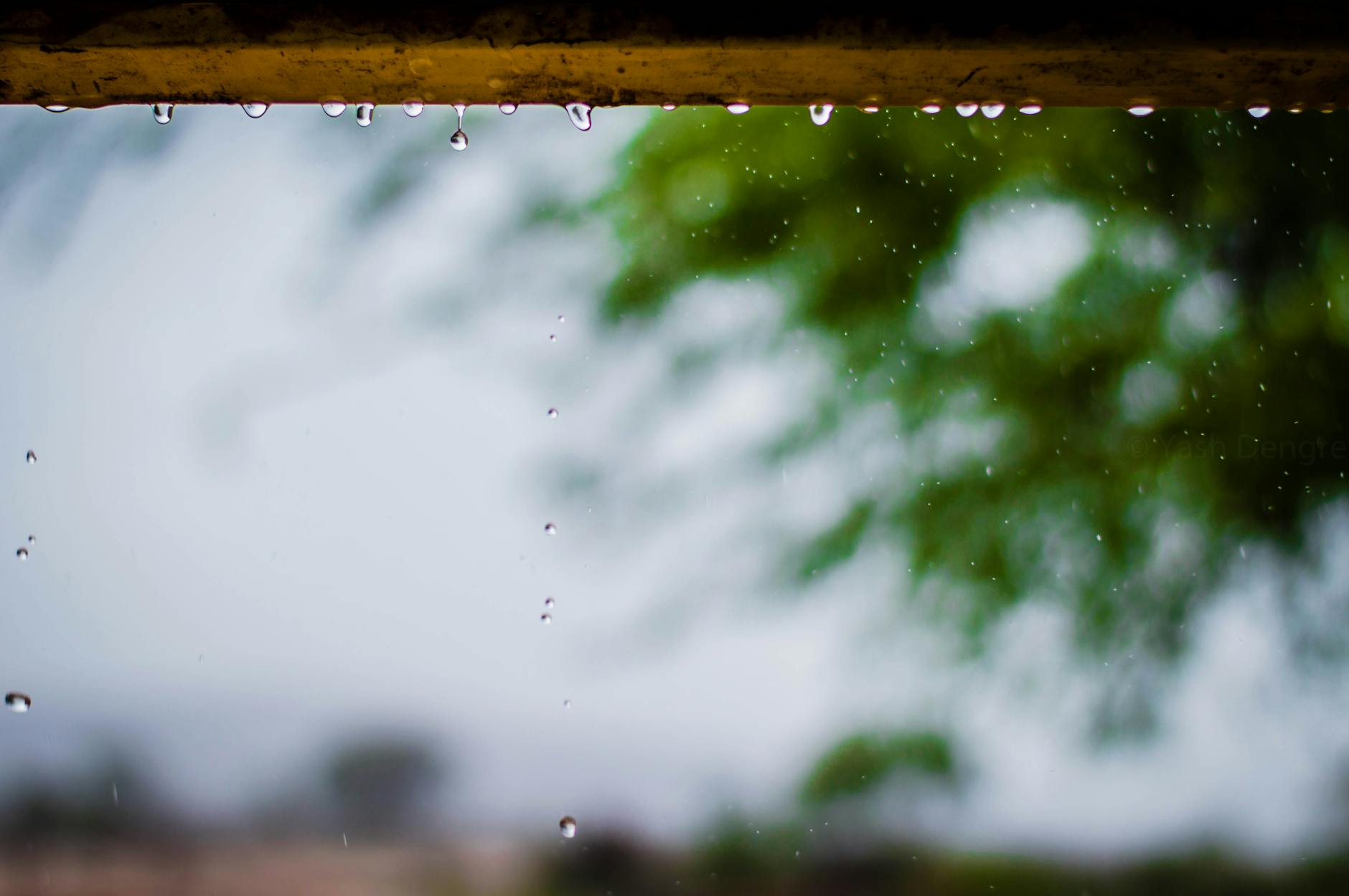 Close-up of raindrops with blurred green foliage, capturing the serene monsoon atmosphere.