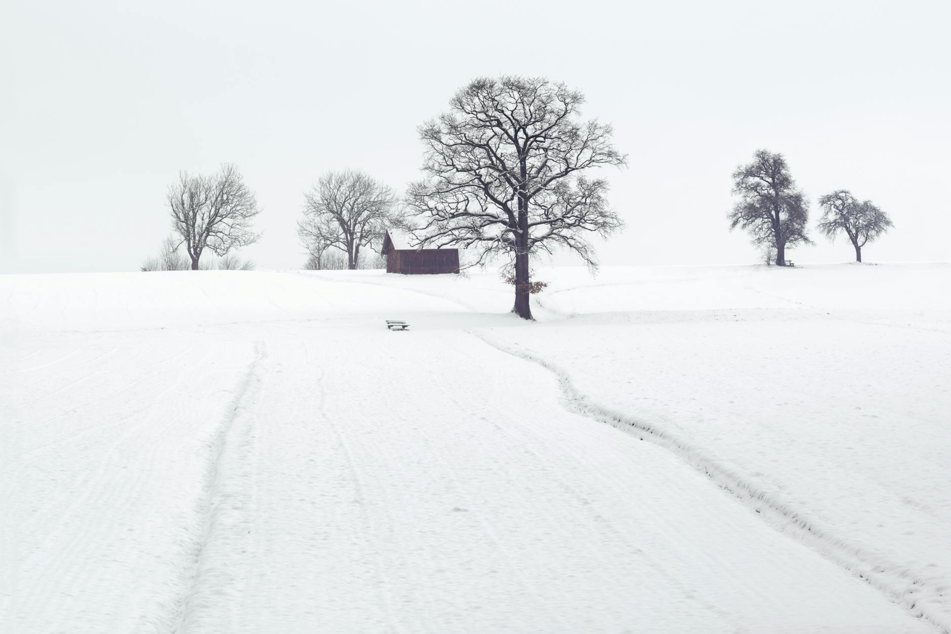 A tranquil snowy landscape with frosty trees and a wooden cabin in winter.