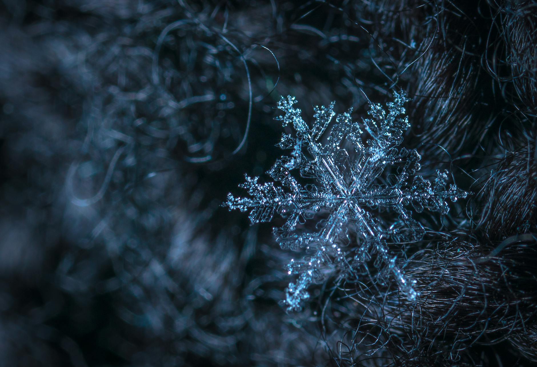 Detailed macro photo of a single snowflake resting on a textured dark surface, highlighting its crystalline structure. Detailed macro photo of a single snowflake resting on a textured dark surface, highlighting its crystalline structure.
