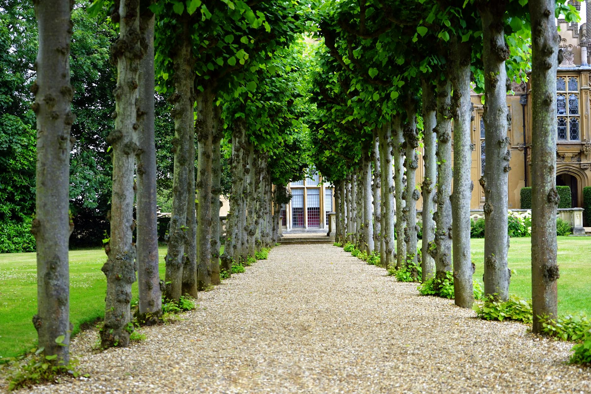Peaceful garden walkway with trees leading to a historic building. Peaceful garden walkway with trees leading to a historic building.