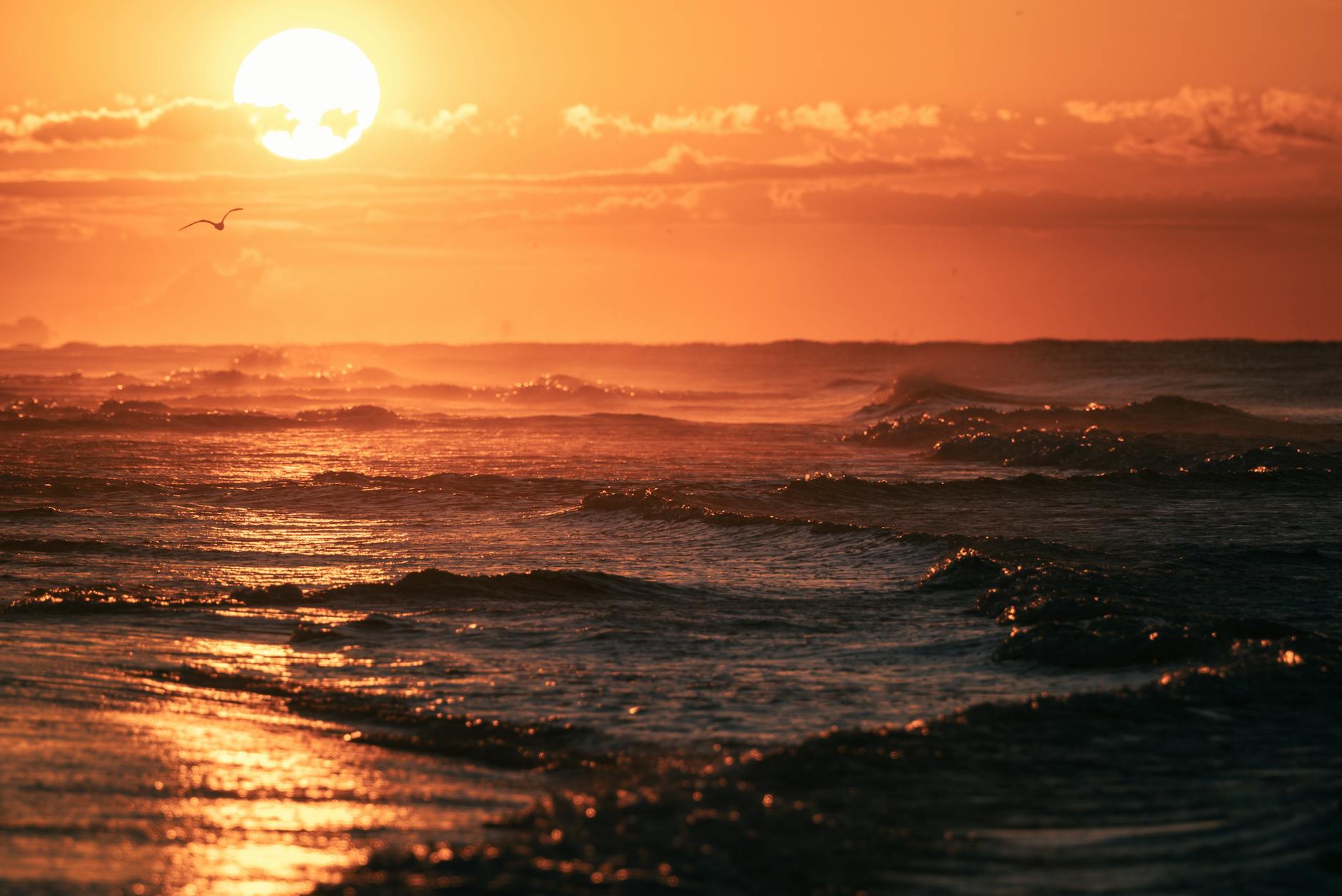 Mesmerizing view of the ocean waves under a vibrant sunset with golden hues. Mesmerizing view of the ocean waves under a vibrant sunset with golden hues.