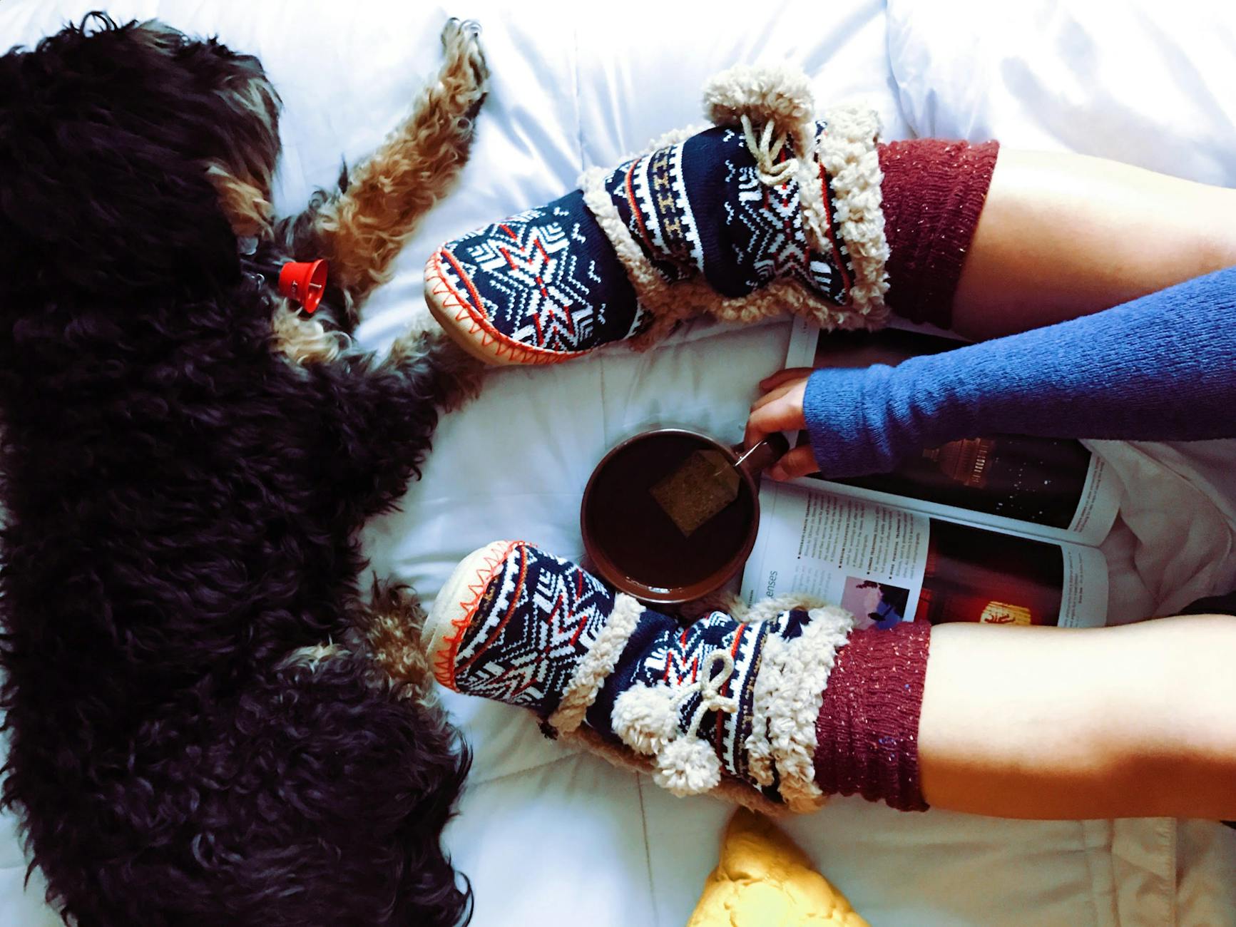 Enjoy a peaceful moment with a book, tea, and a furry friend. Perfect cozy setup. Enjoy a peaceful moment with a book, tea, and a furry friend. Perfect cozy setup.