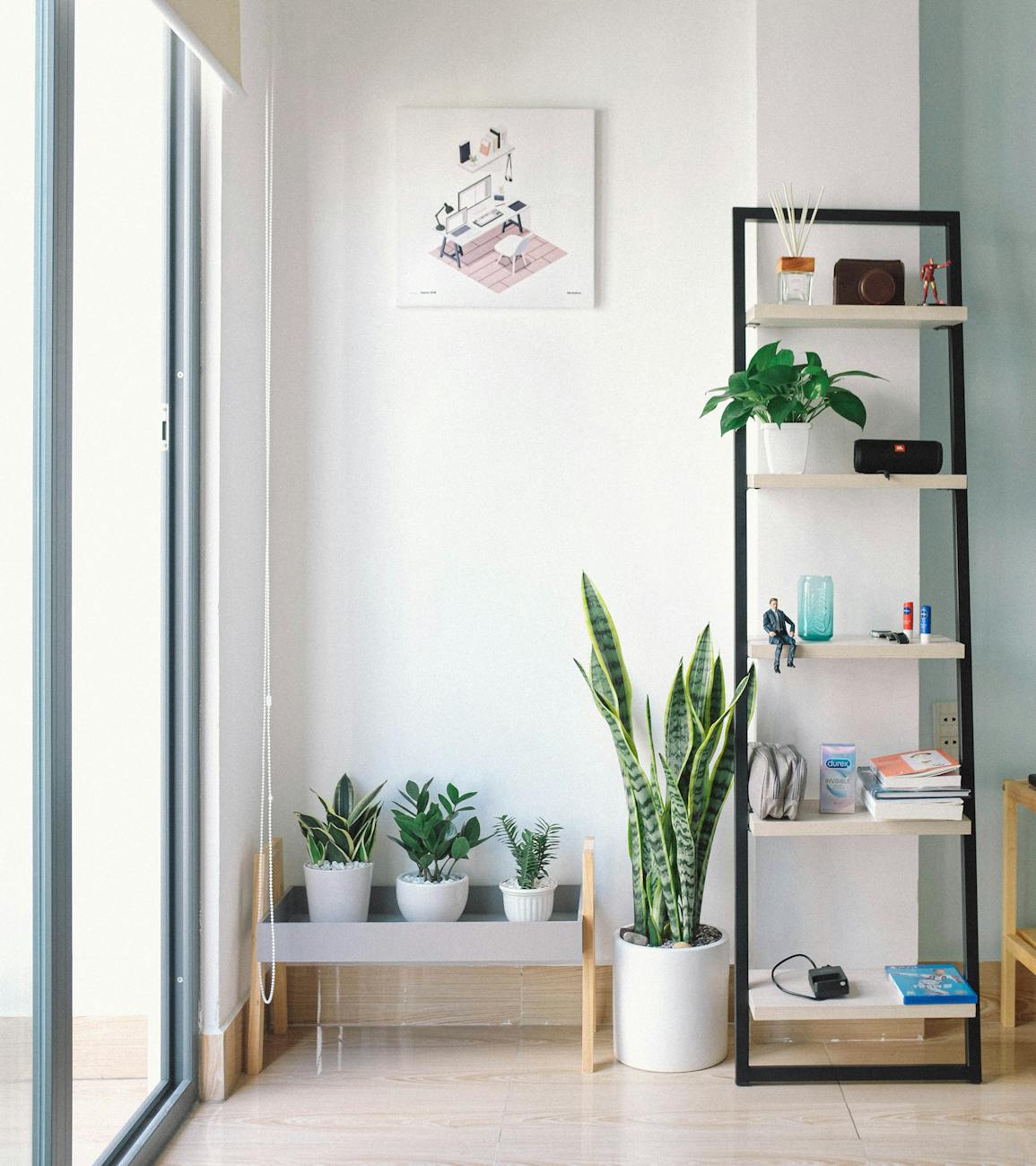 Bright, modern interior with minimal decor, featuring lush houseplants, shelving, and natural light. Bright, modern interior with minimal decor, featuring lush houseplants, shelving, and natural light.