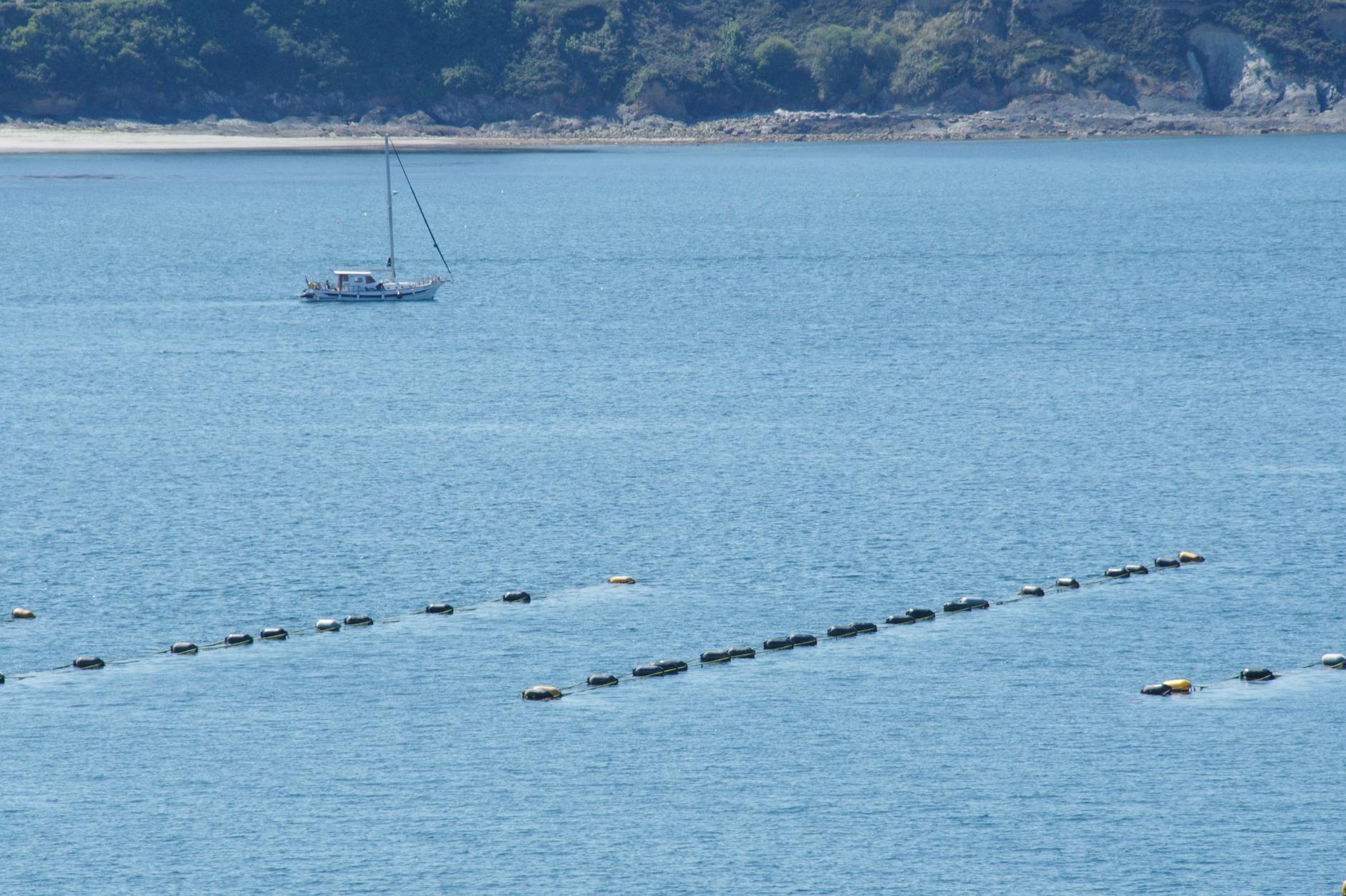 Scenic view of a sailboat near oyster farms in Brittany waters. Scenic view of a sailboat near oyster farms in Brittany waters.