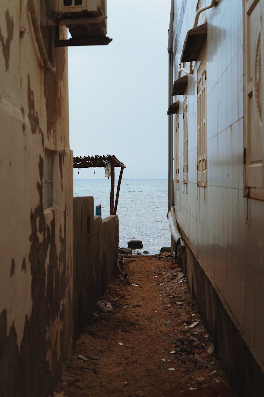 Free stock photo of abstract seascape, aerial beach, animal Free stock photo of abstract seascape, aerial beach, animal