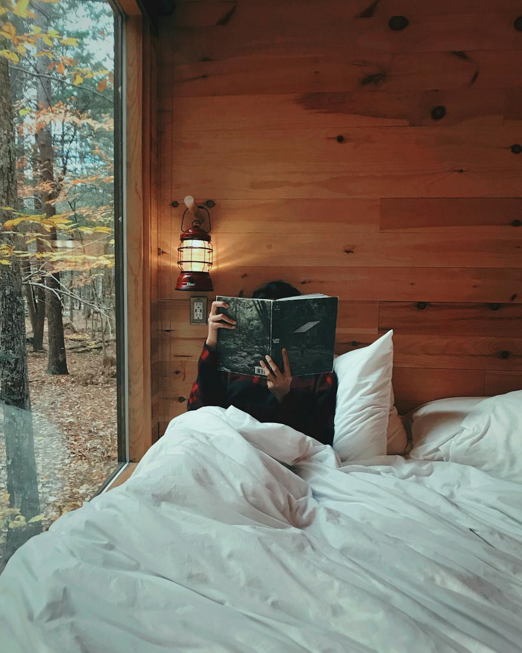 Person comfortably reading in a warm wooden cabin with a scenic fall view. Person comfortably reading in a warm wooden cabin with a scenic fall view.