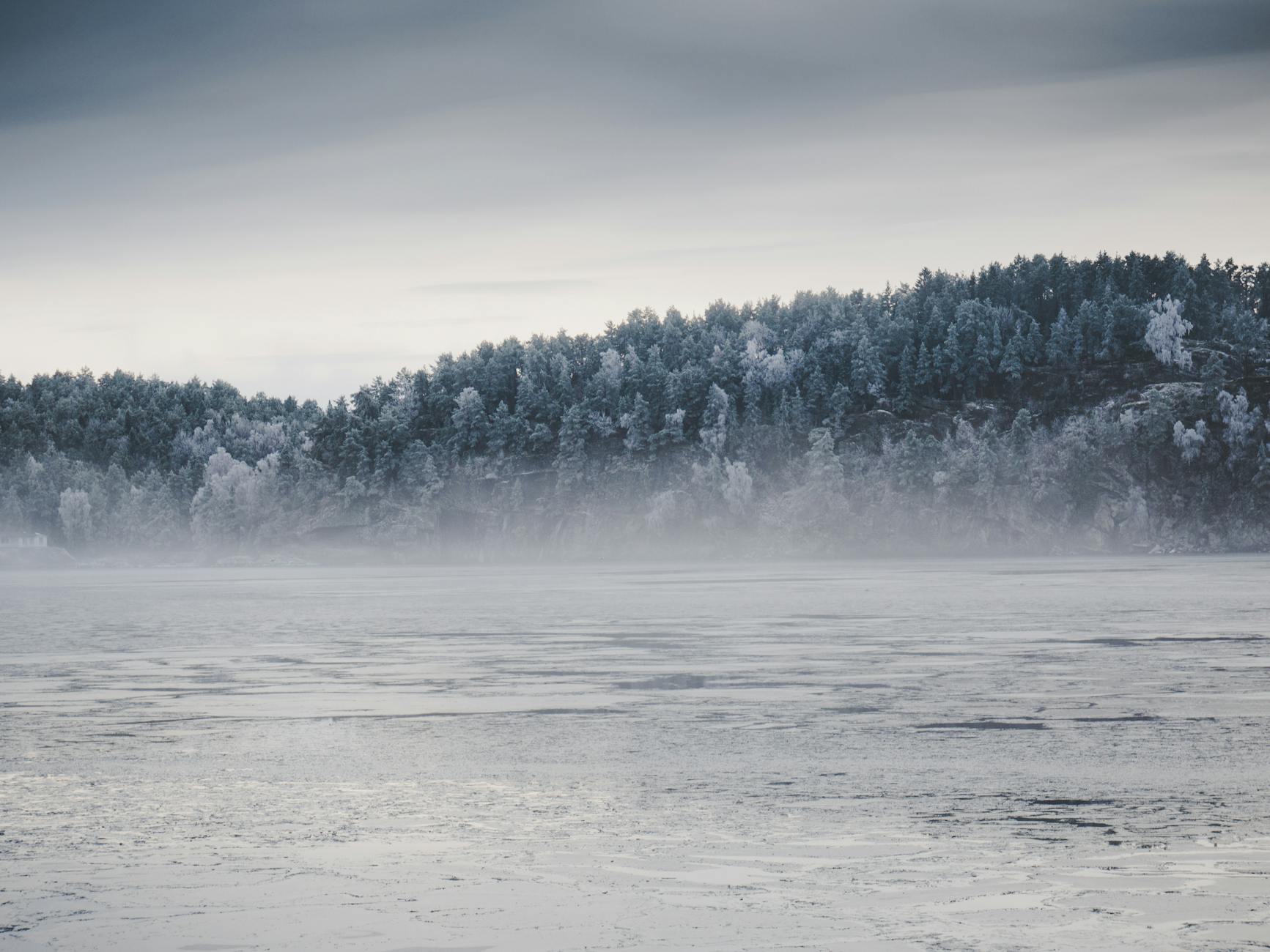 Serene winter landscape of a misty lake surrounded by frosted trees under an overcast sky. Serene winter landscape of a misty lake surrounded by frosted trees under an overcast sky.