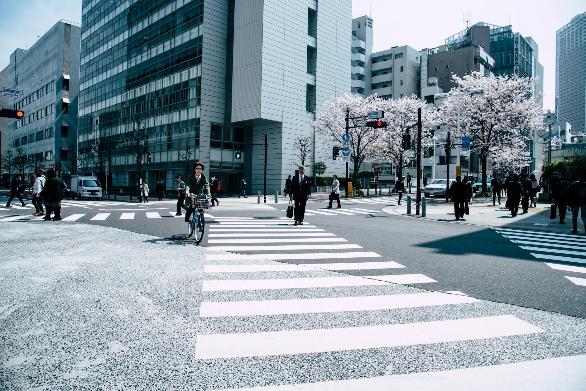 Pedestrians crossing a busy intersection in Nagawa, Japan with cherry blossoms and modern architecture. Pedestrians crossing a busy intersection in Nagawa, Japan with cherry blossoms and modern architecture.