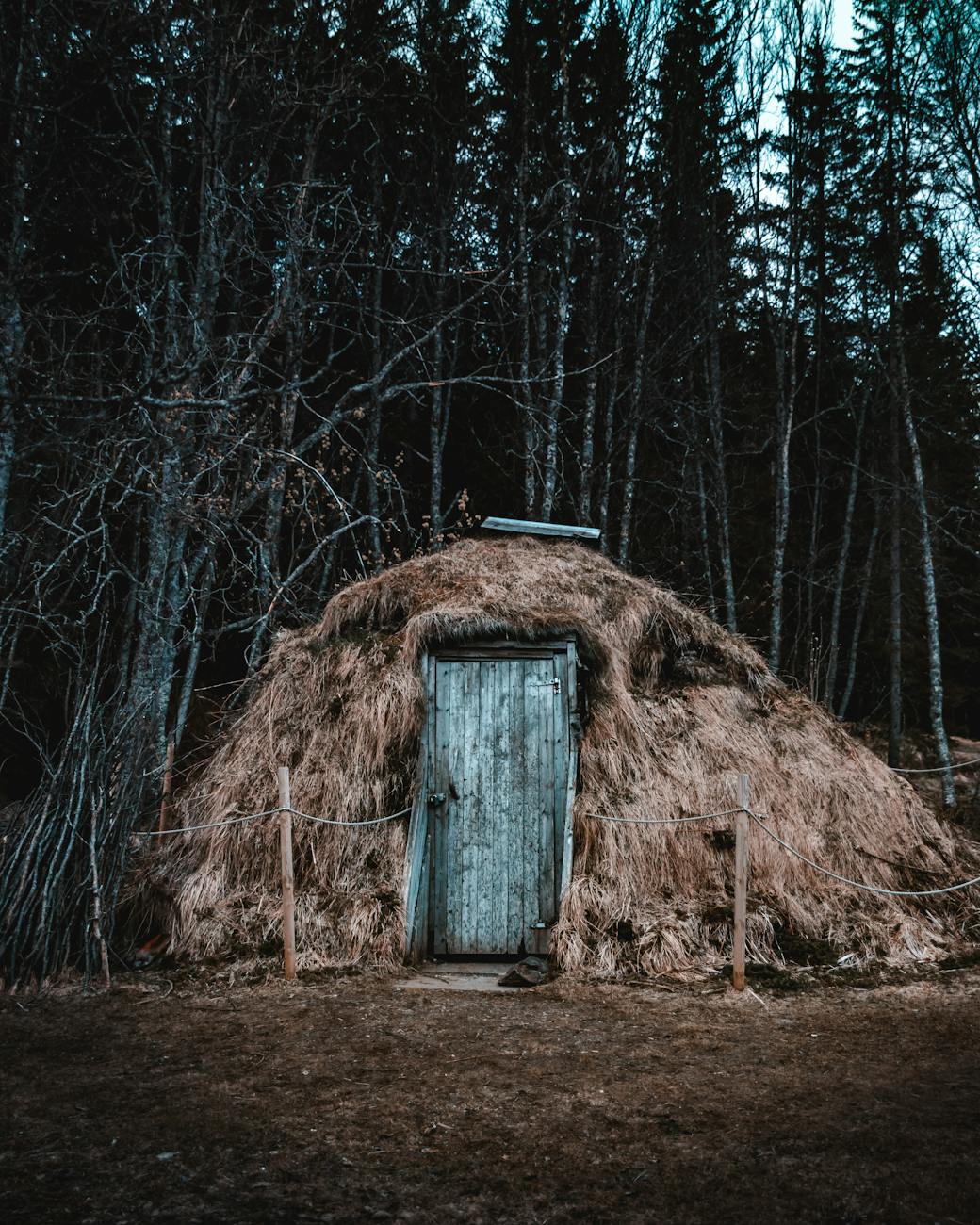 A wooden hut surrounded by trees in a rural Norwegian forest landscape. A wooden hut surrounded by trees in a rural Norwegian forest landscape.
