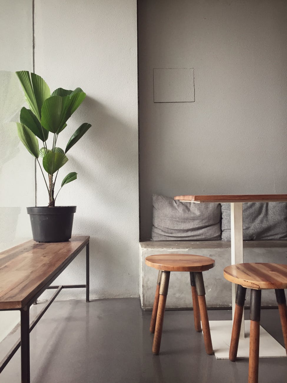 A minimalist, modern indoor seating area with wooden furniture and a potted plant, perfect for a cozy home interior. A minimalist, modern indoor seating area with wooden furniture and a potted plant, perfect for a cozy home interior.