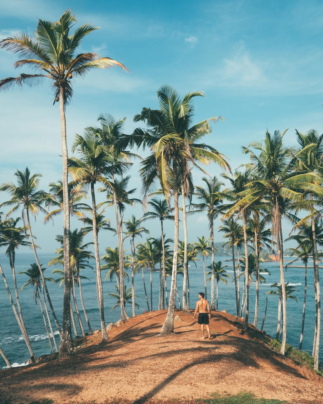 Man walking amidst coconut palms by the ocean in Mirissa, Sri Lanka, embodying tropical paradise vibes. Man walking amidst coconut palms by the ocean in Mirissa, Sri Lanka, embodying tropical paradise vibes.