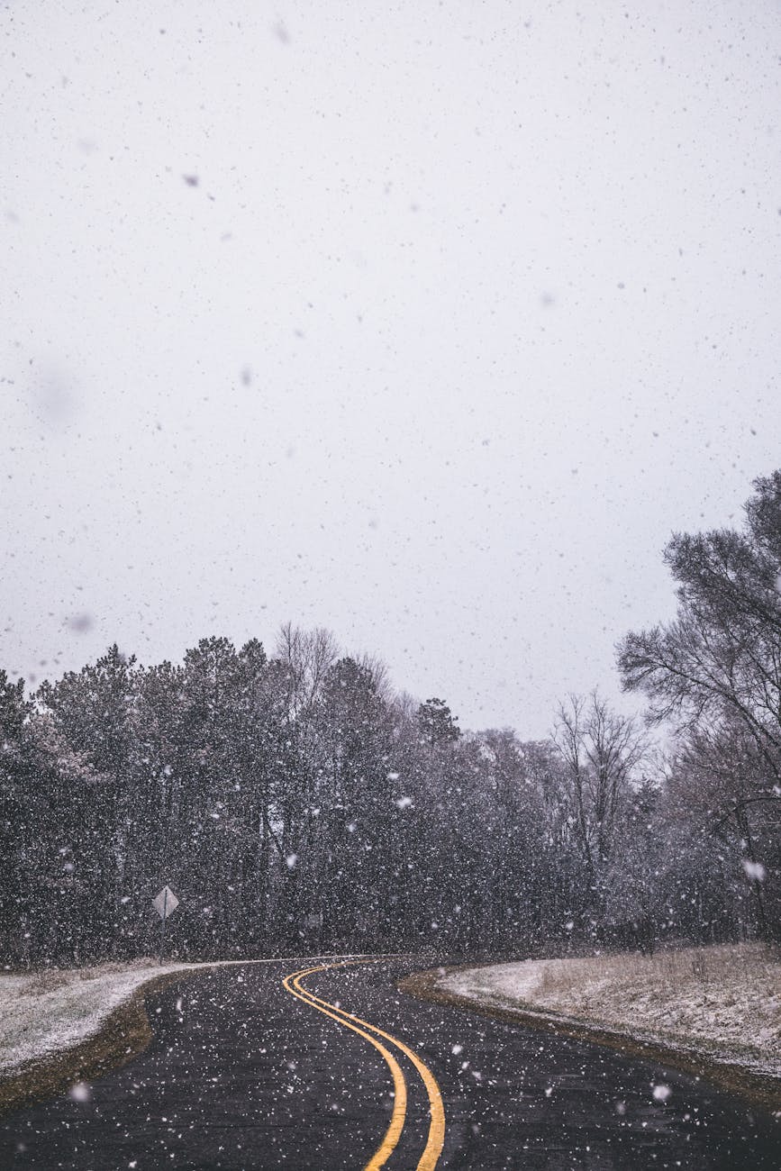 A serene winter scene featuring a snow-covered winding road amidst bare trees.