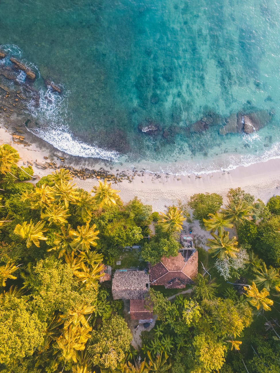 Breathtaking aerial view of palm-lined beach in Dambulla, Sri Lanka with turquoise waters.