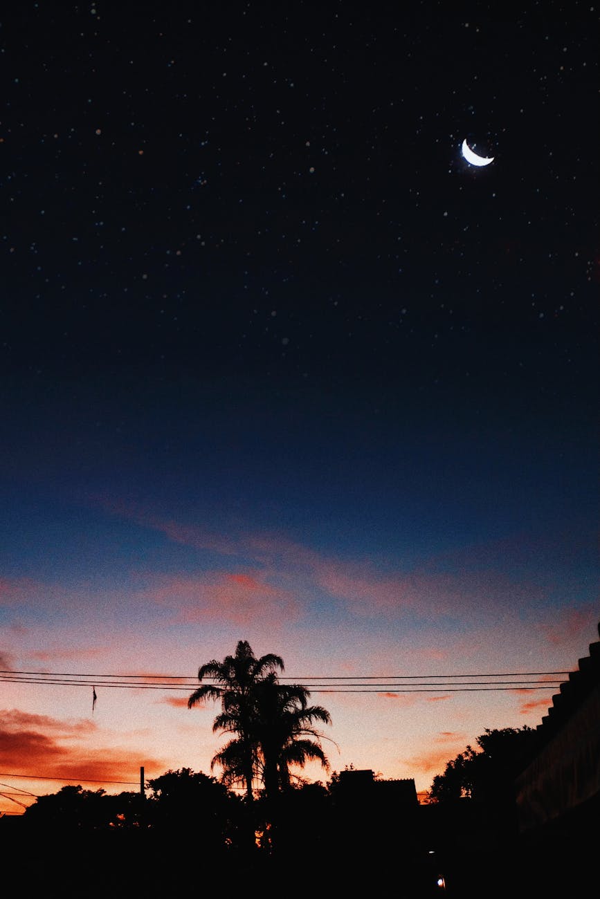 Silhouette of trees at dusk with a starry sky and crescent moon in Itinga, Brazil.