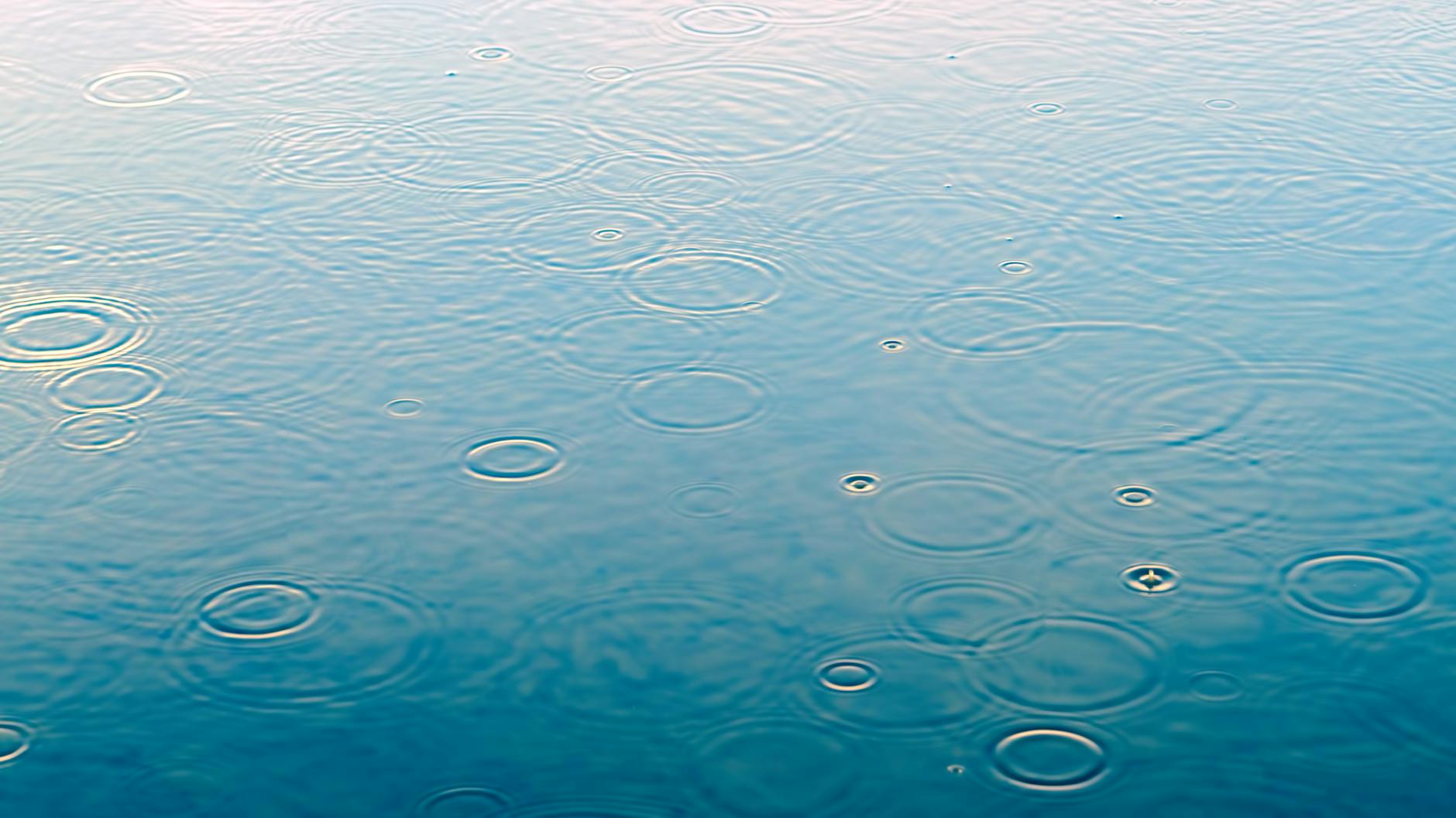 Close-up of raindrops creating ripples on a calm water surface. Close-up of raindrops creating ripples on a calm water surface.