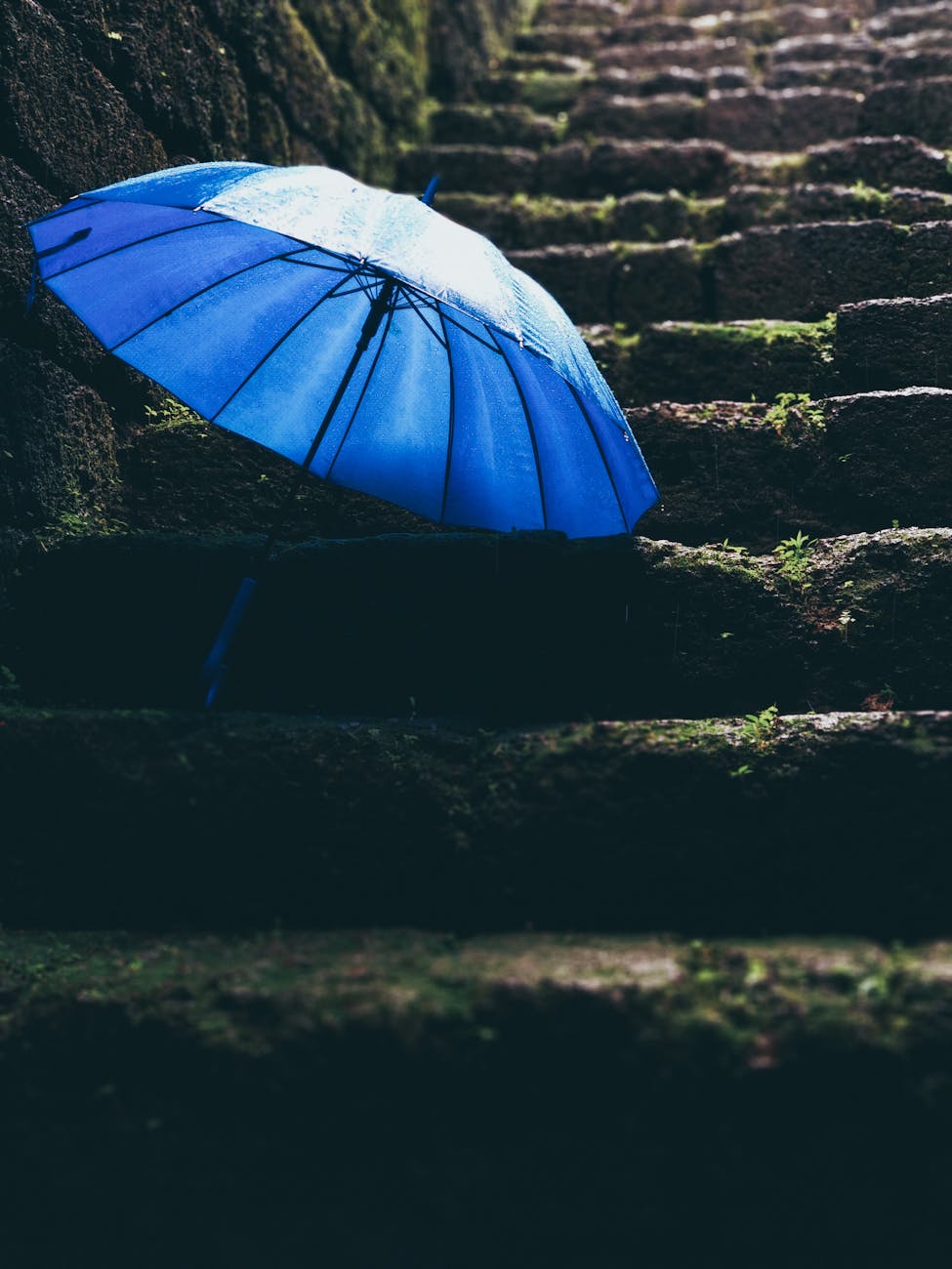 Vibrant blue umbrella rests on wet, moss-covered stone steps, reflecting rainy weather.