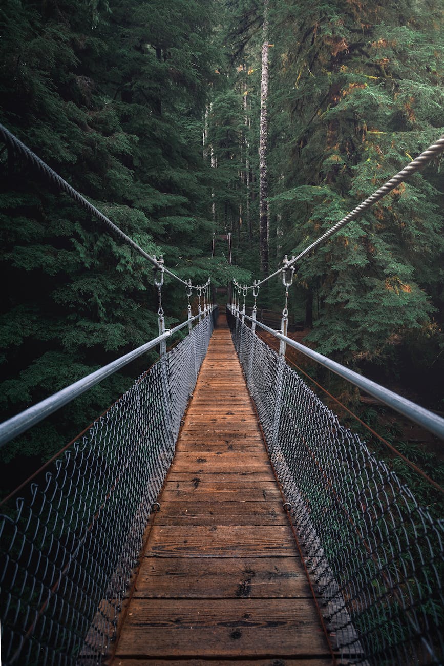 A beautiful suspension bridge amidst a dense forest, perfect for nature backgrounds. A beautiful suspension bridge amidst a dense forest, perfect for nature backgrounds.