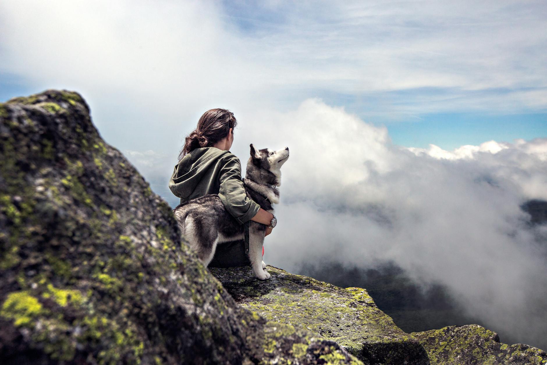 Woman with a husky on a mountain peak overlooking a cloud-filled valley.