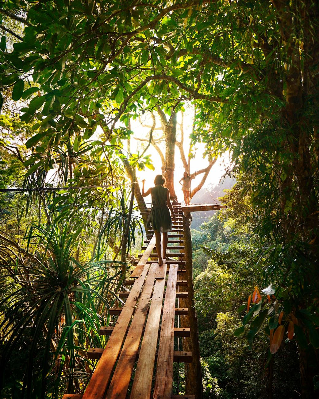 Experience adventure walking on a bridge through Thailand’s vibrant green forest.