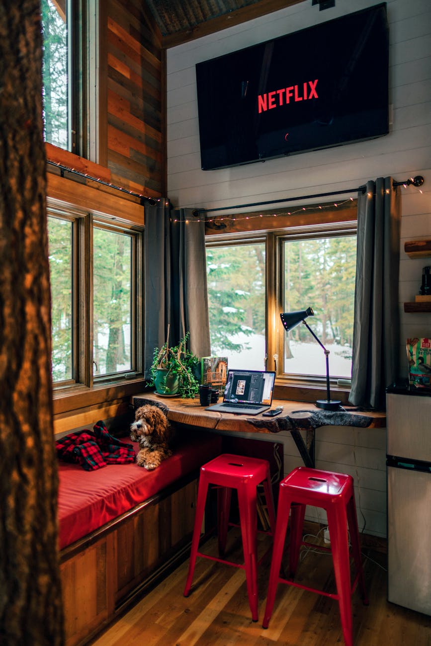 A comfortable cabin interior featuring red stools, a puppy, and Netflix on TV for relaxation. A comfortable cabin interior featuring red stools, a puppy, and Netflix on TV for relaxation.