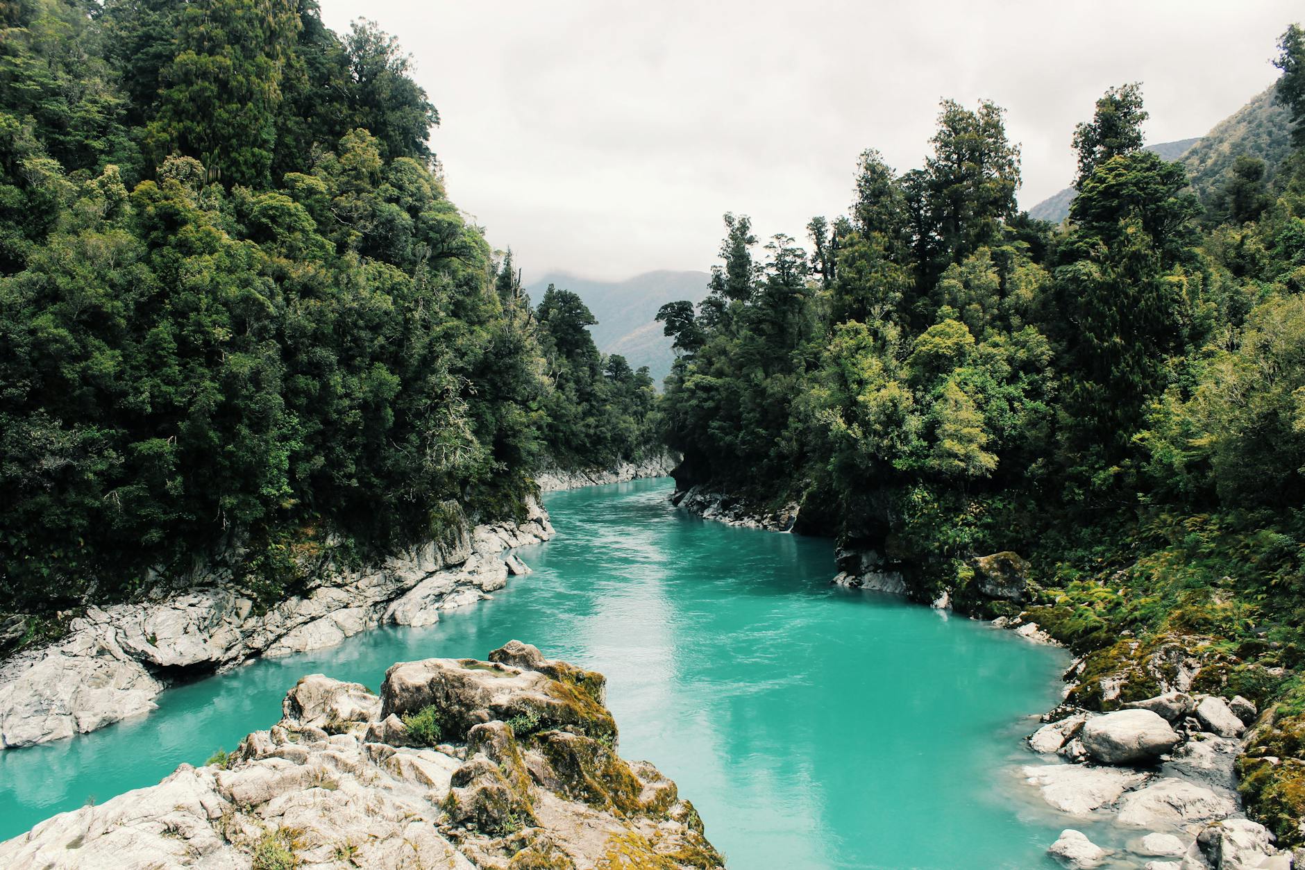 Beautiful turquoise river winding through a dense, lush forest under a cloudy sky. Beautiful turquoise river winding through a dense, lush forest under a cloudy sky.