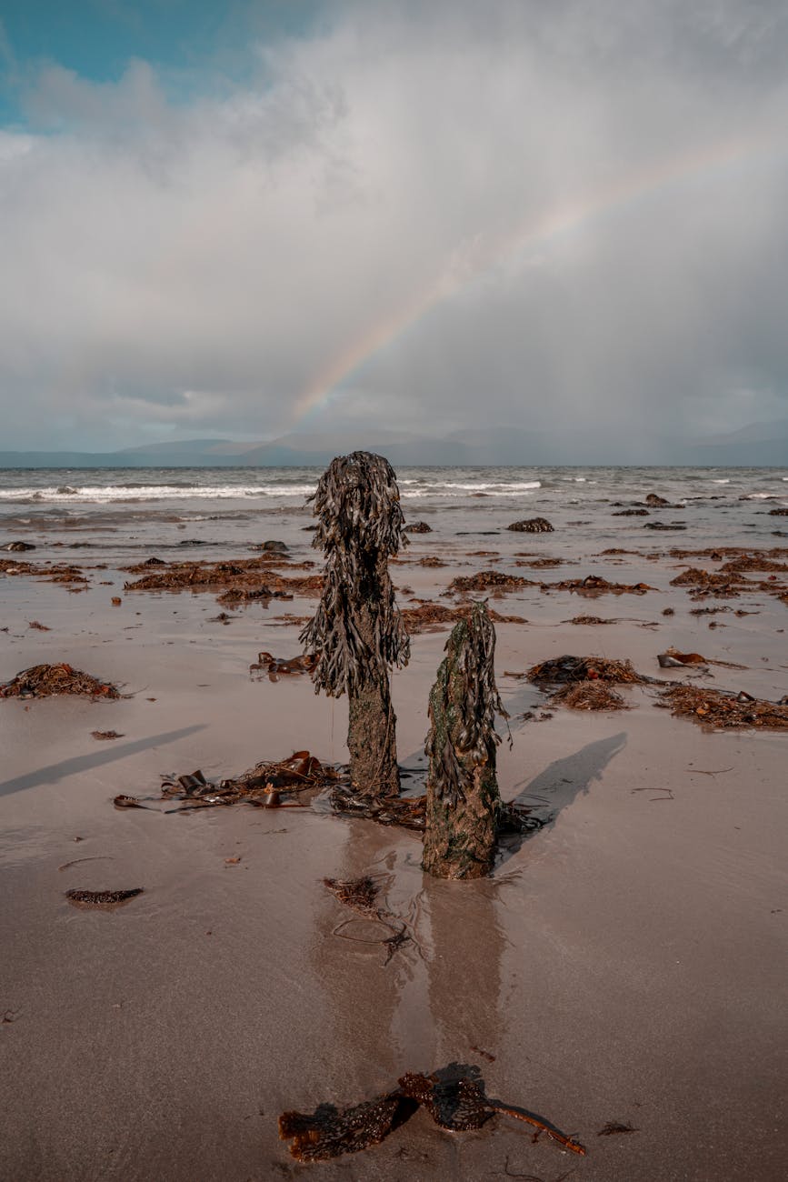 Free stock photo of 4k beach, 4k wallpaper, aesthetic mobile wallpaper Free stock photo of 4k beach, 4k wallpaper, aesthetic mobile wallpaper