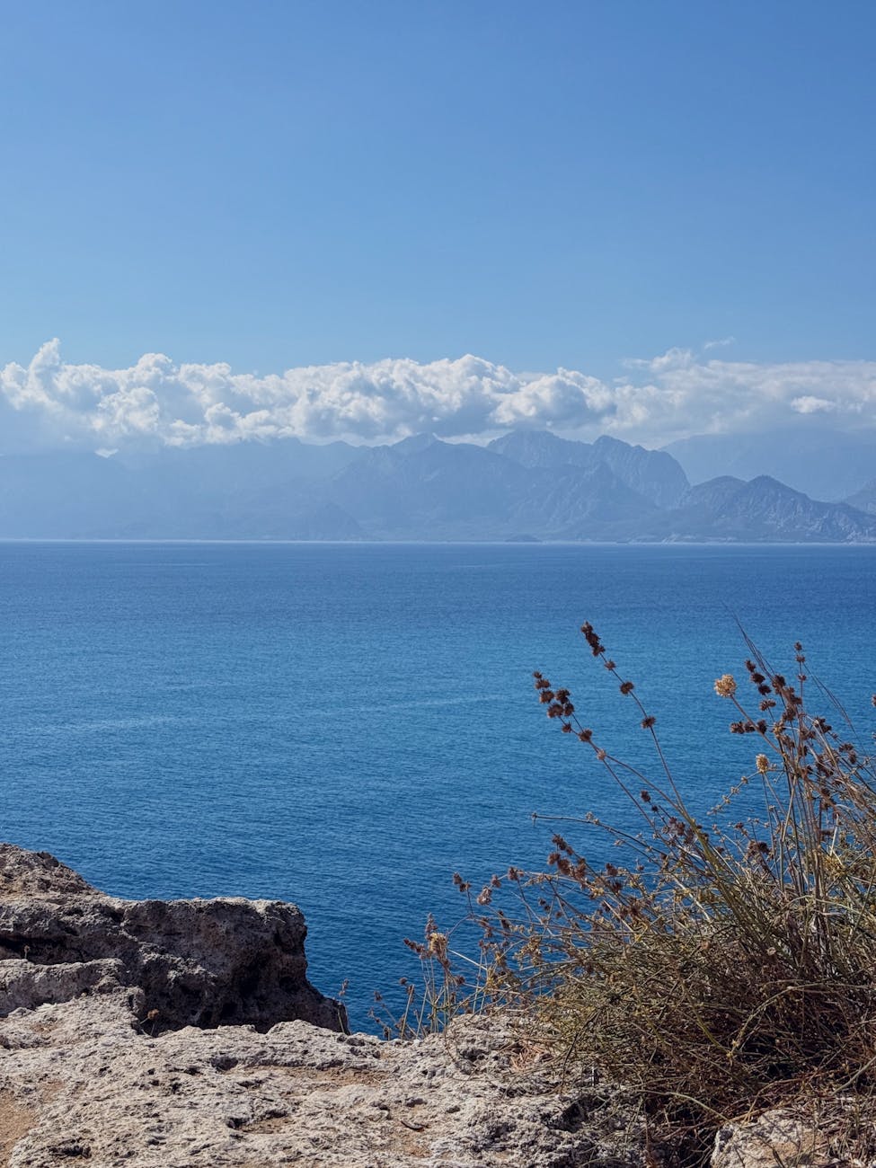 Processed with VSCO with h3 preset