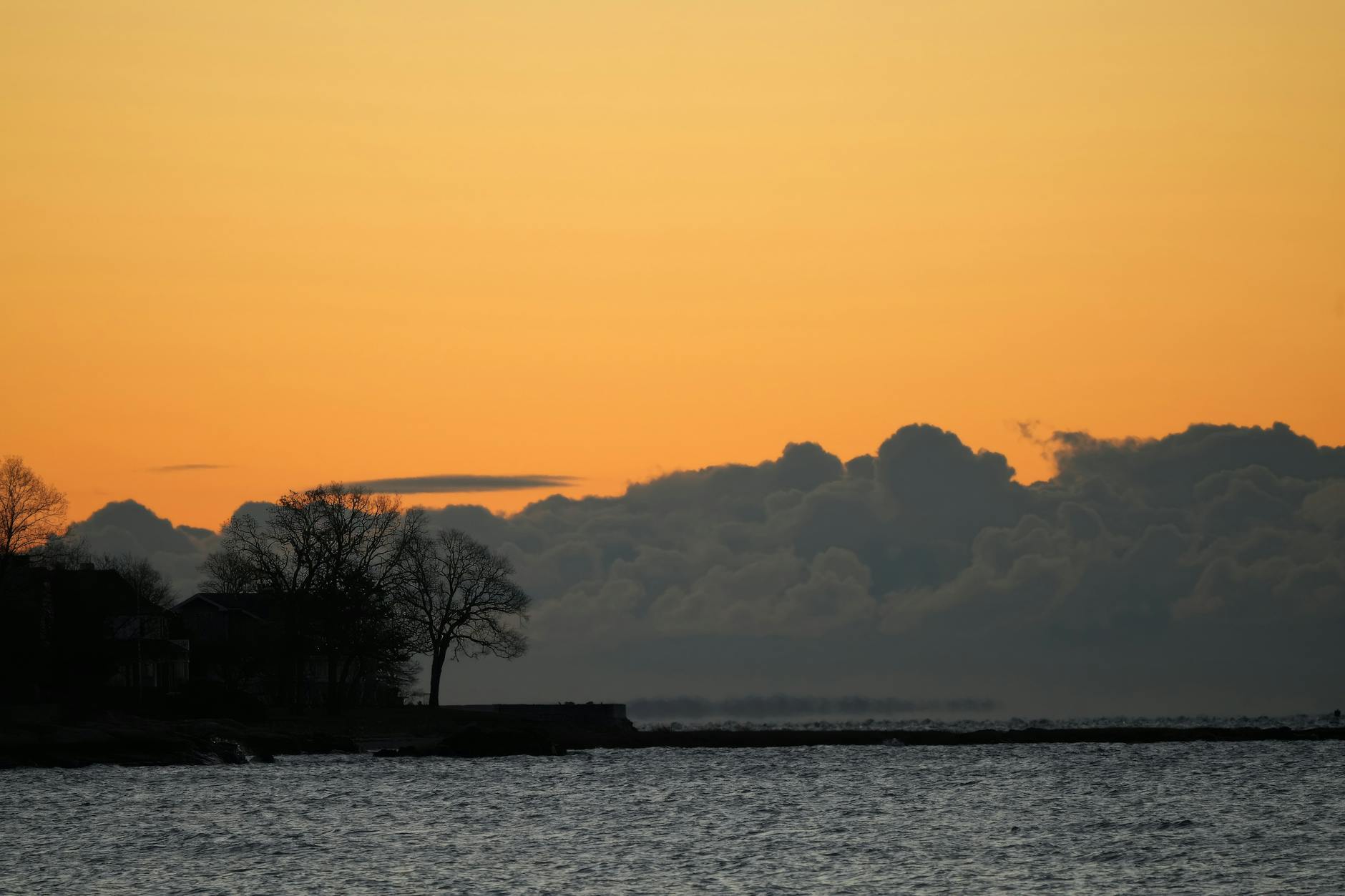Serene view of silhouetted trees by the sea during a vibrant sunset. Serene view of silhouetted trees by the sea during a vibrant sunset.