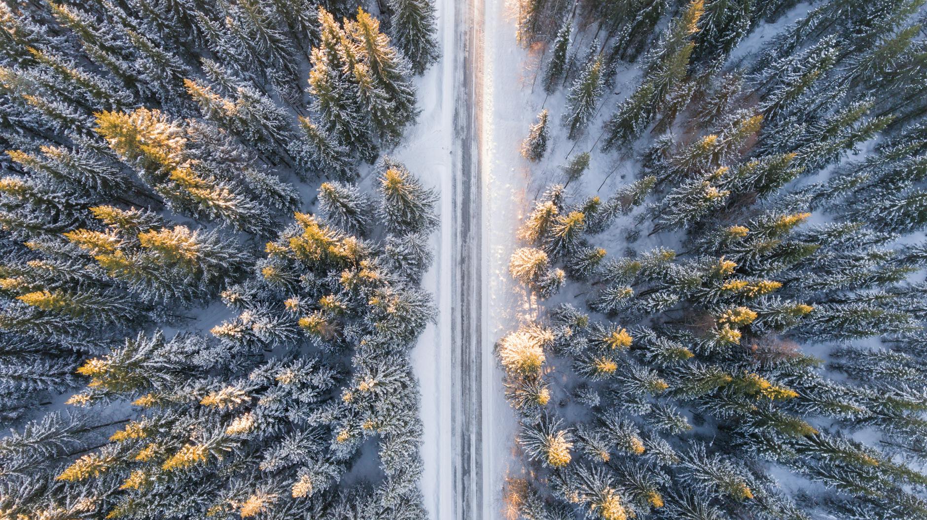 A stunning aerial view of a snow-covered forest with a serene road cutting through. Perfect for winter travel themes.