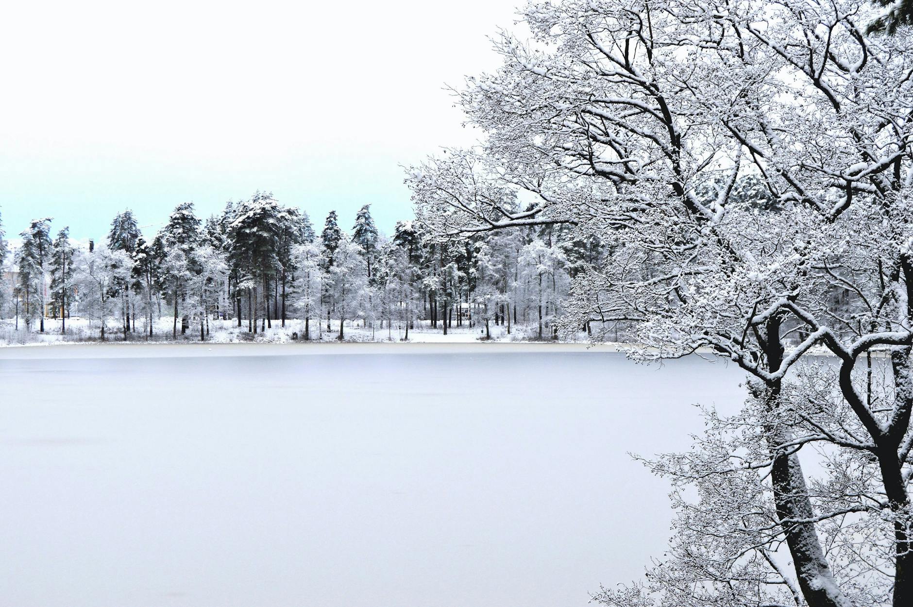A tranquil winter scene of snow-covered trees by a frozen lake under a bright sky.